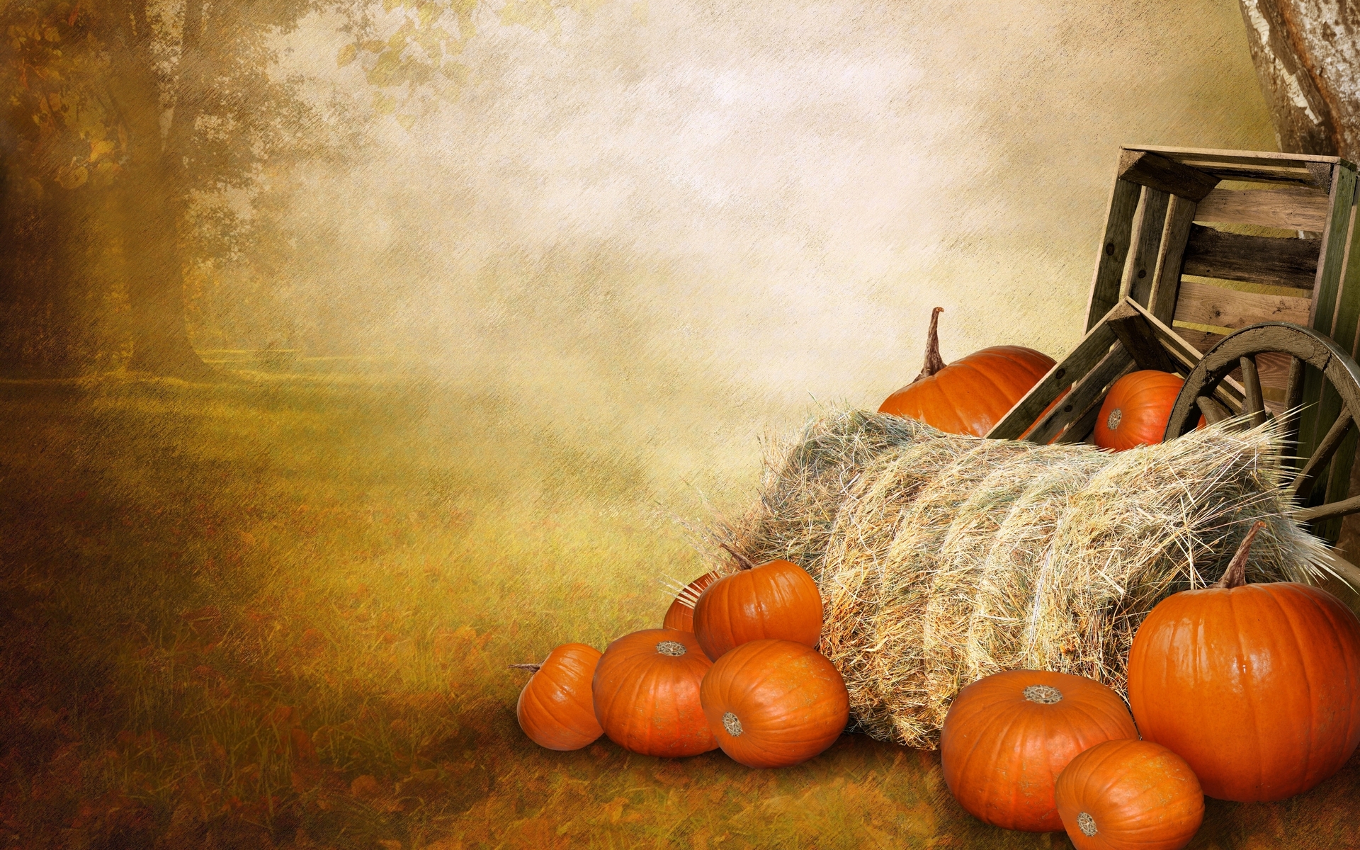 Artistic Fall Pumpkin Thanksgiving 1920x1200