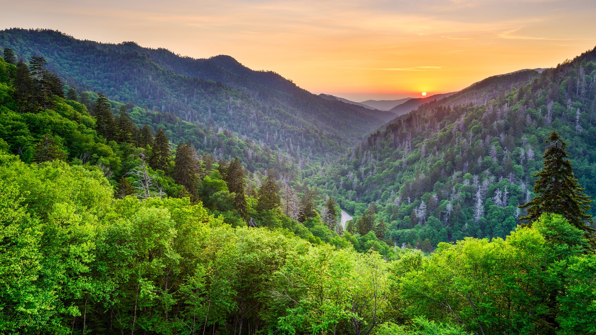 Nature Landscape Trees Mountains Sun Sunset Sky Forest Smoky Mountains Tennessee USA 1920x1080