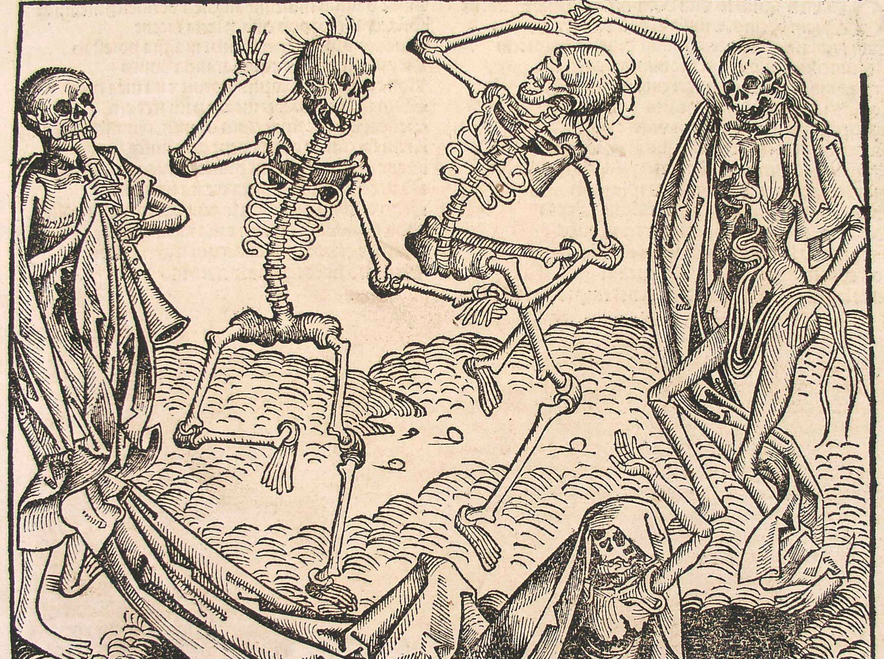 Halloween Skeleton Skull 1808x1347
