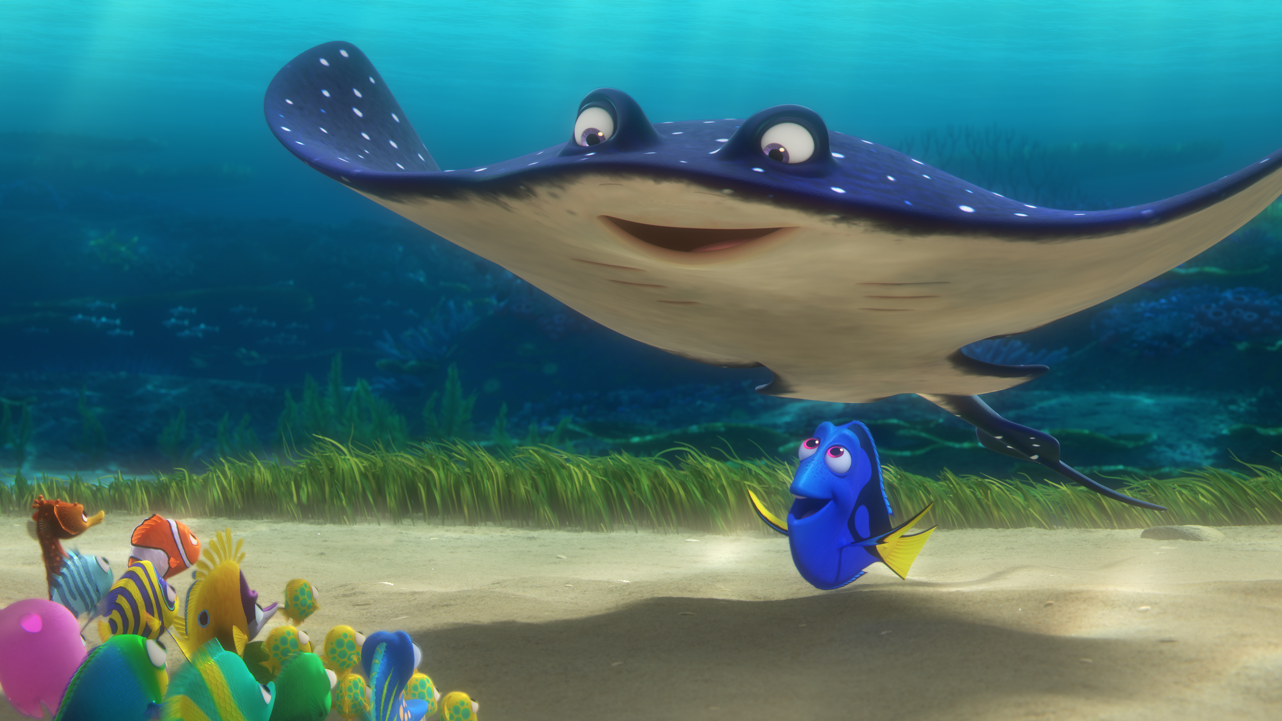 Dory Finding Nemo Finding Dory Mr Ray Finding Nemo 4096x2304