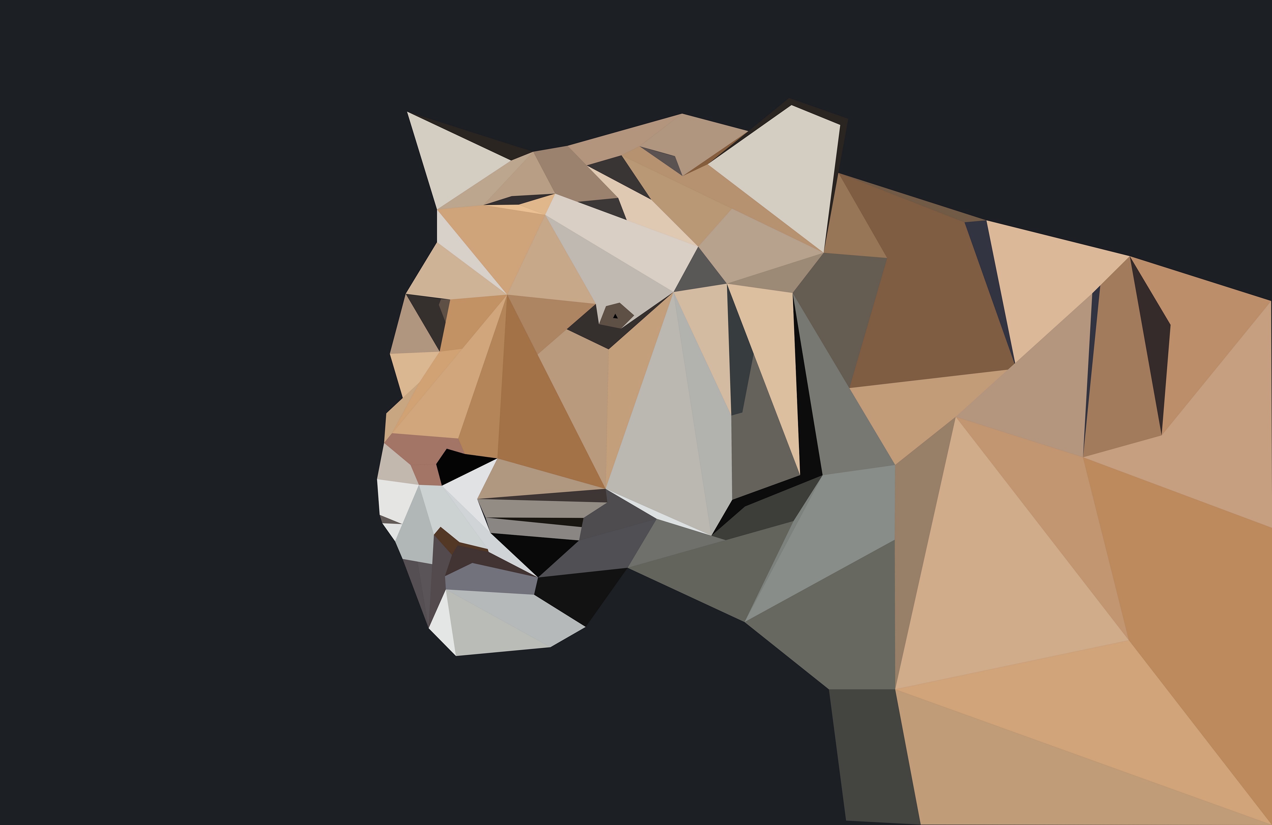 Animal Facets Low Poly Polygon Tiger 4369x2834
