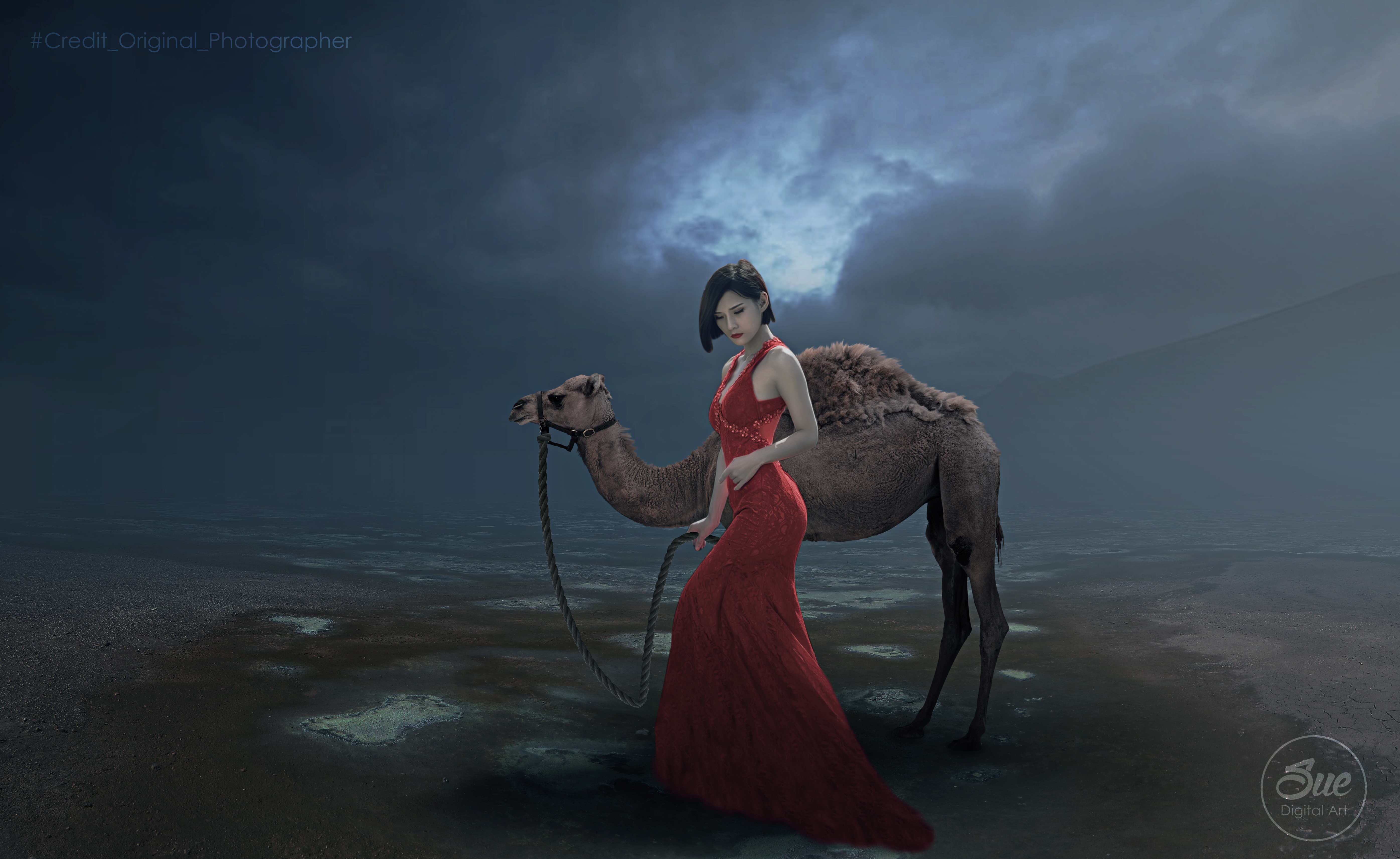 Camel Model Red Dress Woman 5583x3427