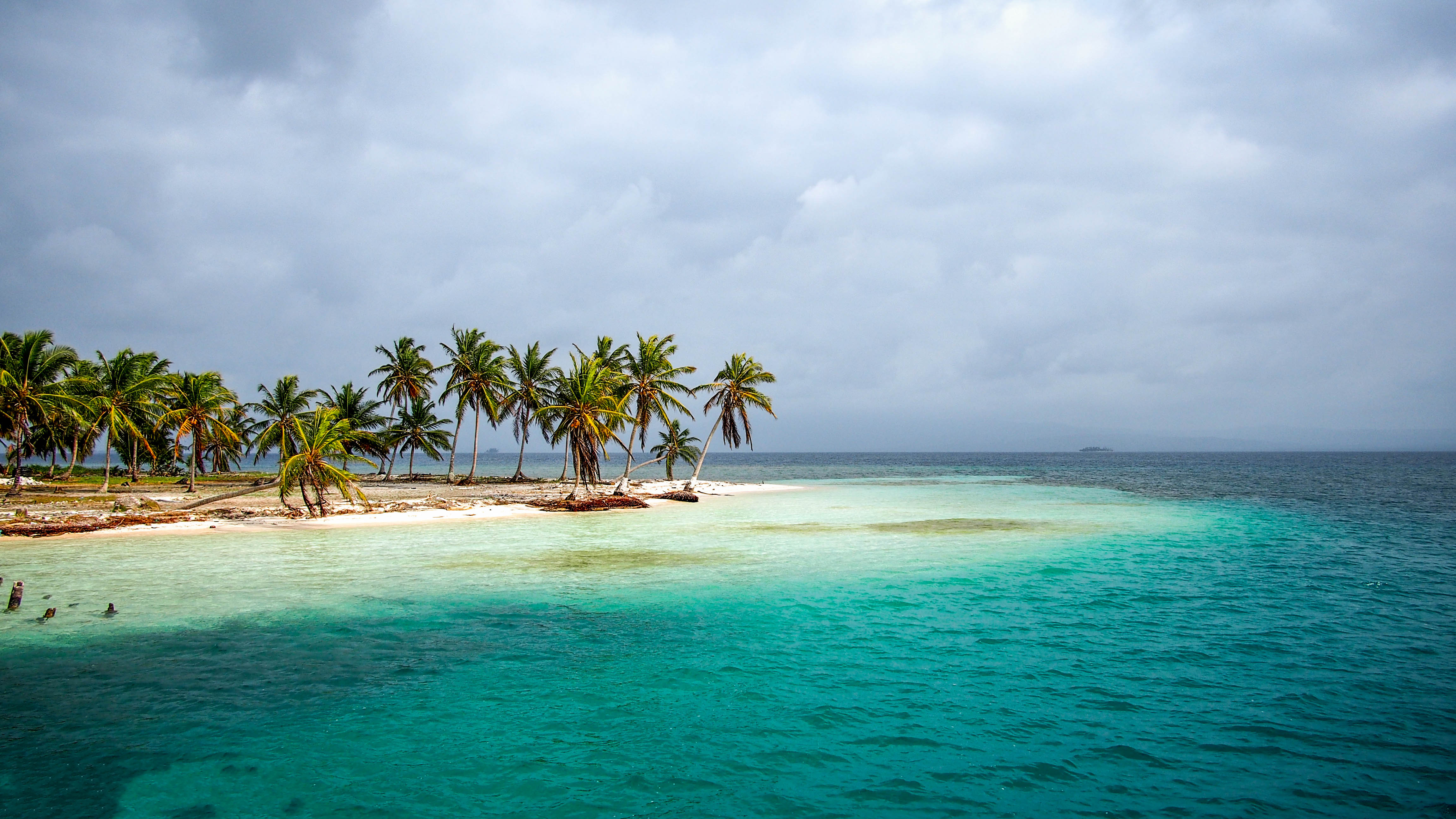 Earth Horizon Island Ocean Palm Tree Panama Sea Tropical 4608x2592