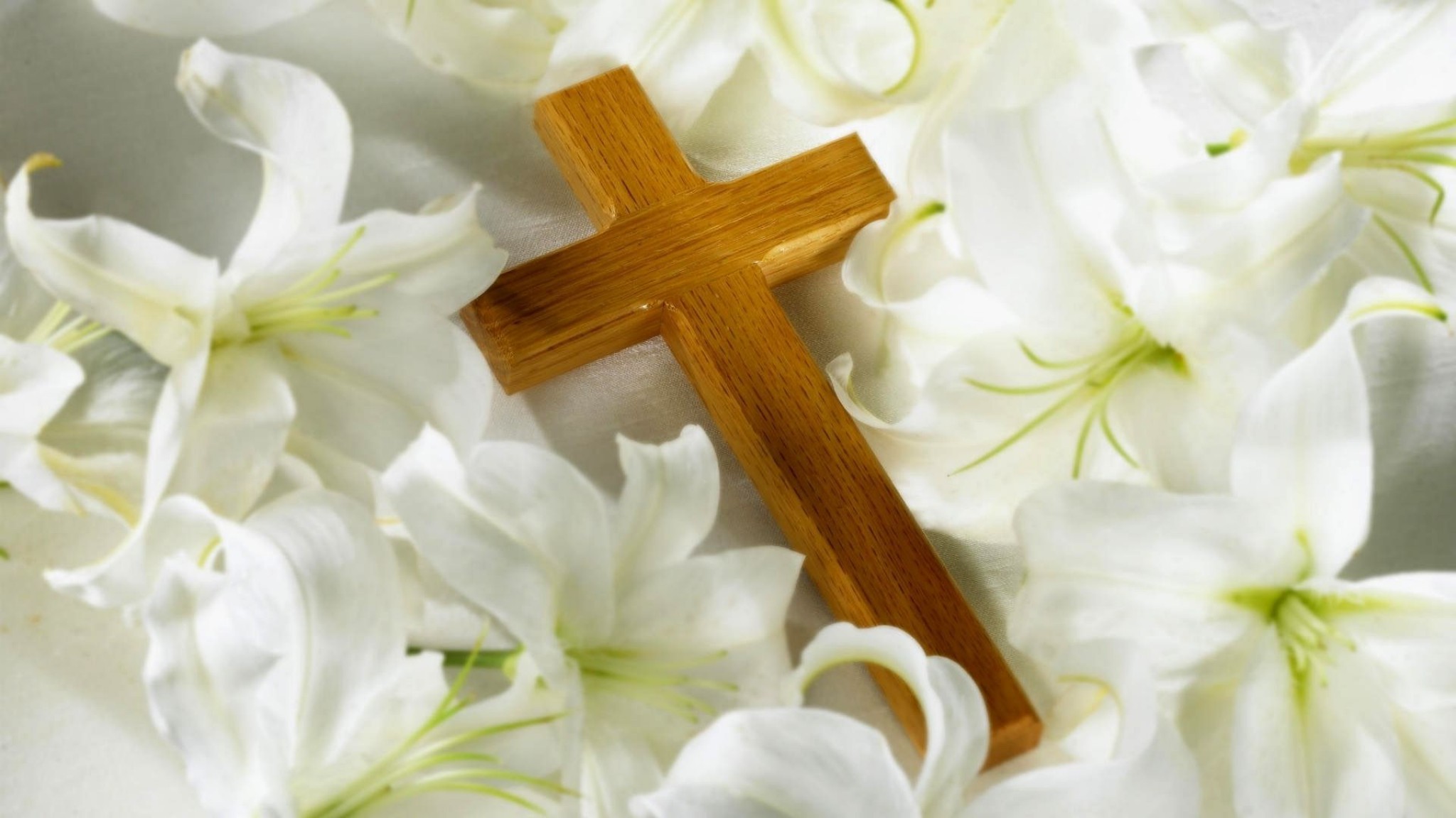 Christian Cross Flower Lily Religious White Flower 2048x1152