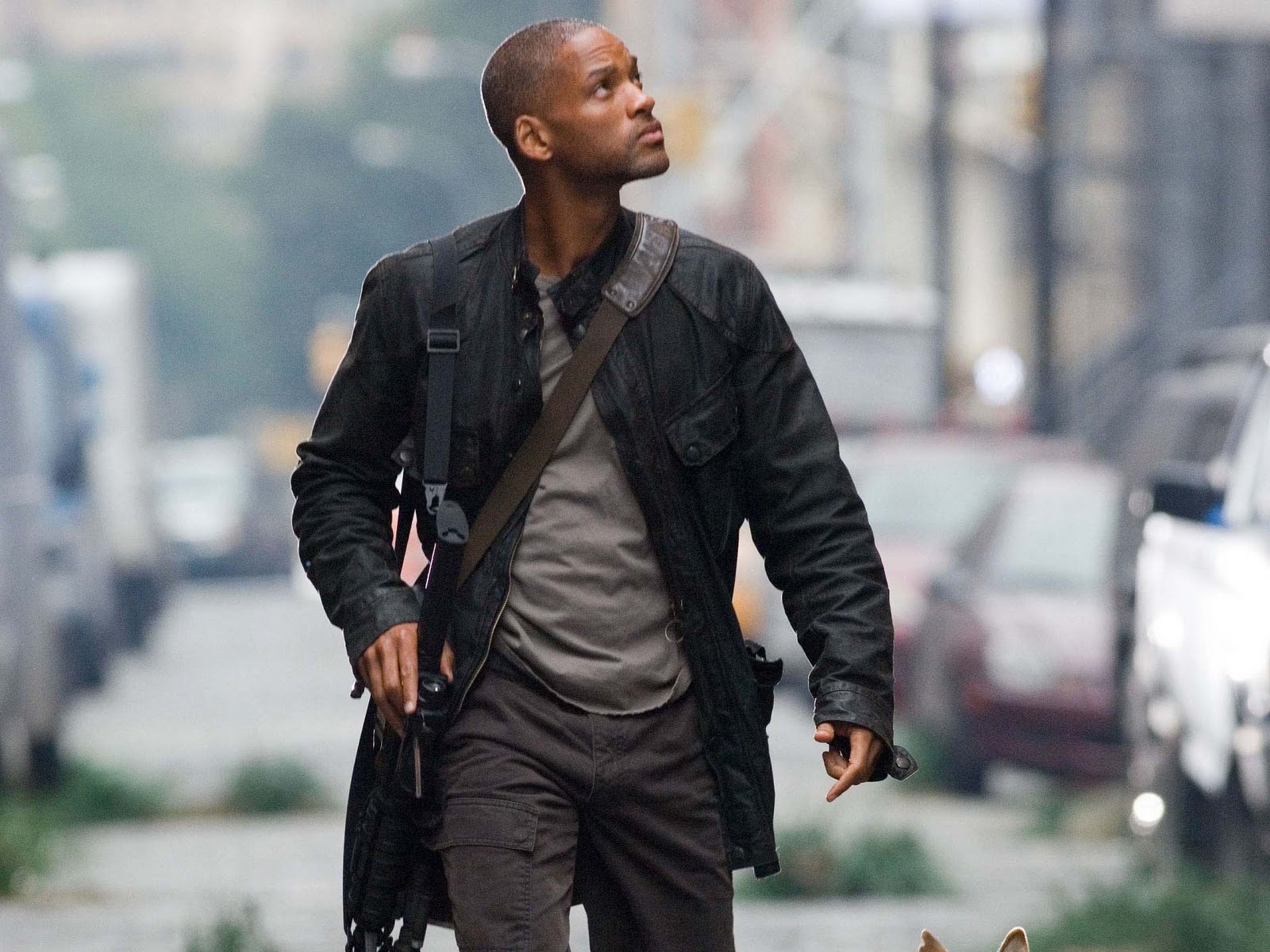 I Am Legend 1600x1200