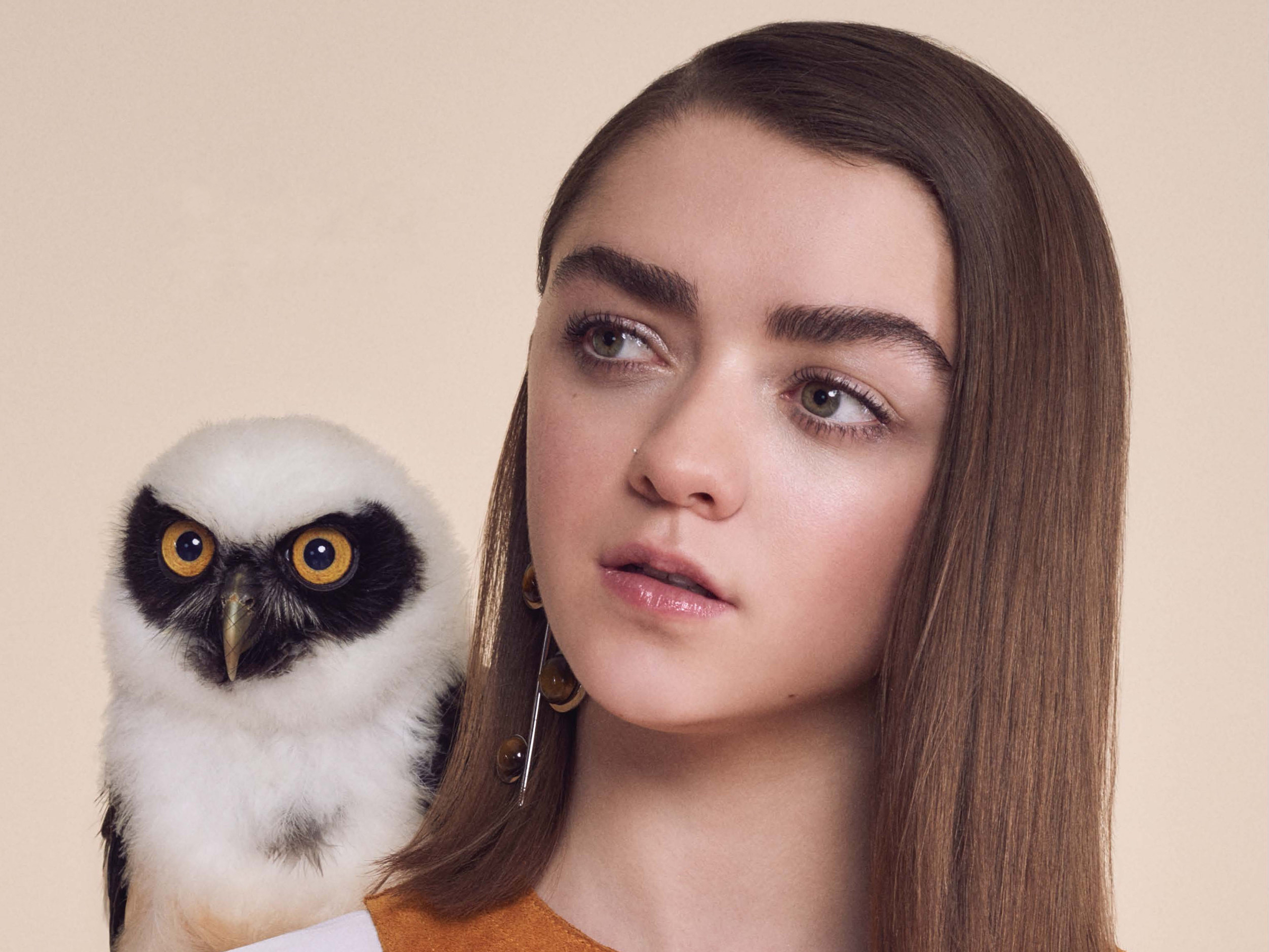 Maisie Williams Owl 2400x1800