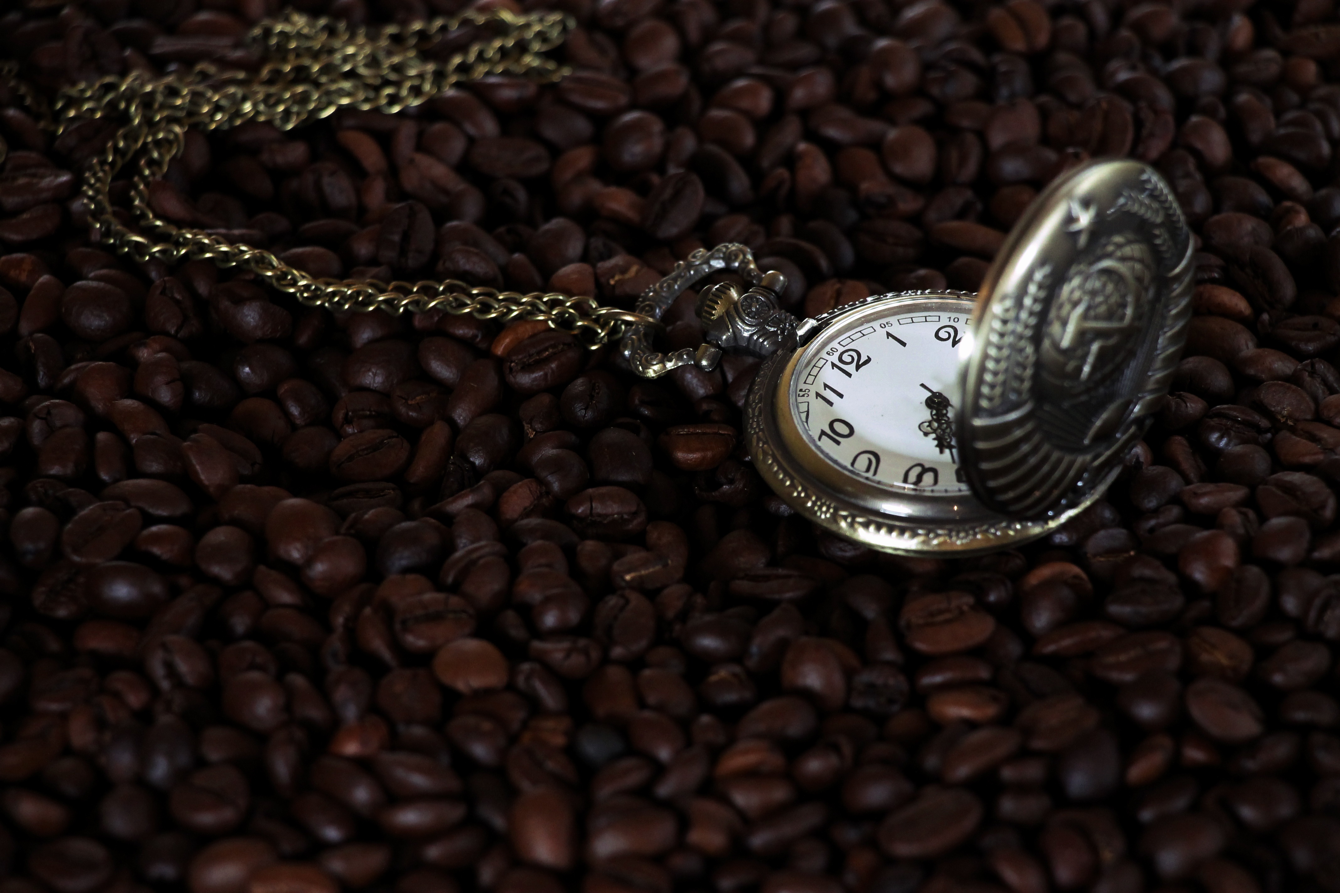 Coffee Beans Pocket Watch 4272x2848