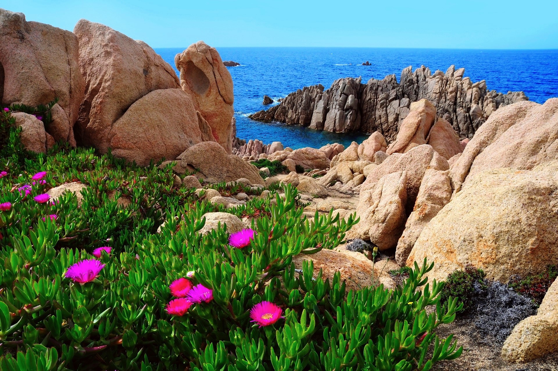 Coast Coastline Earth Flower Horizon Italy Ocean Rock Sardinia Sea 1920x1275