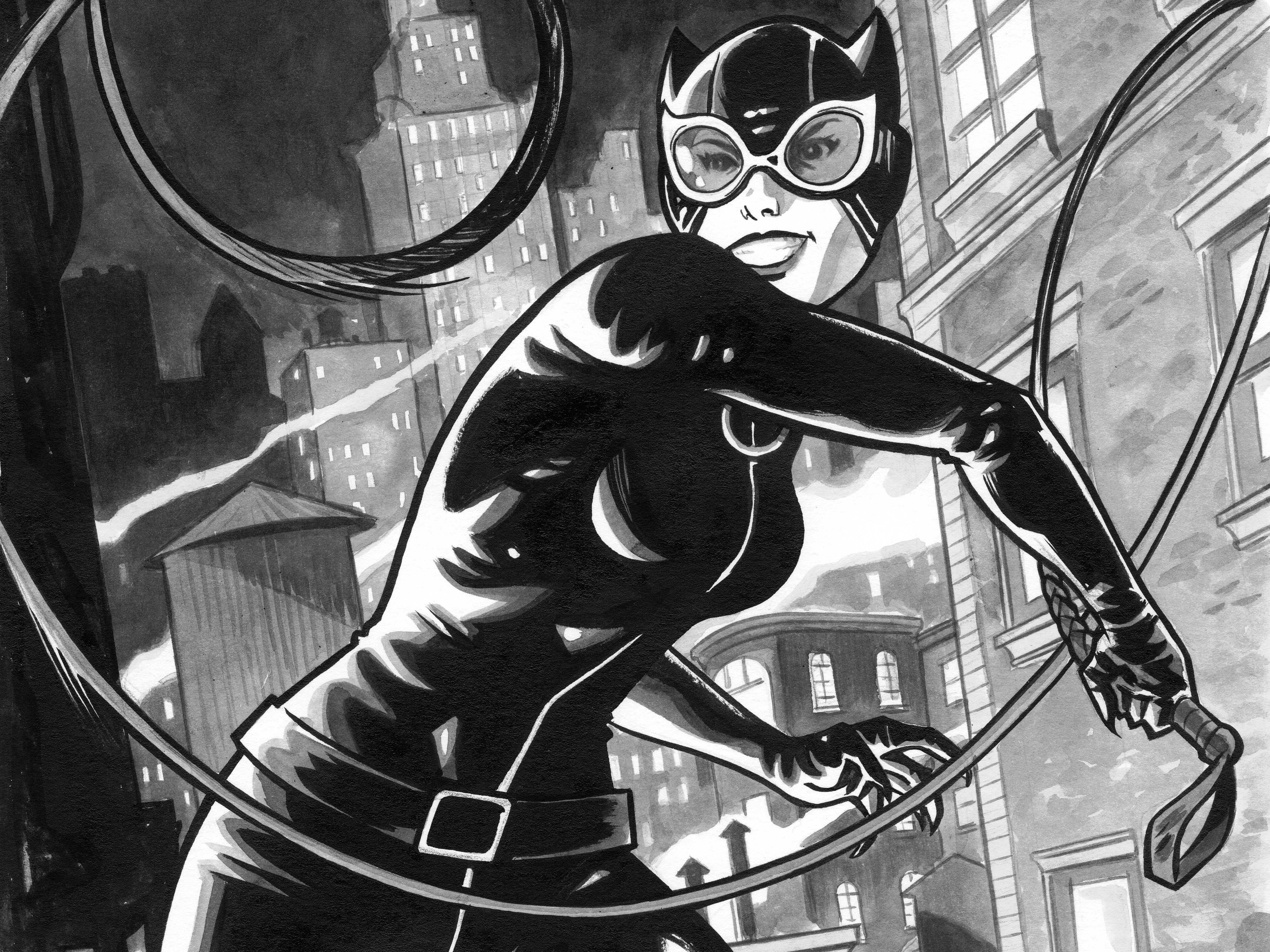 Comics Catwoman 5246x3934