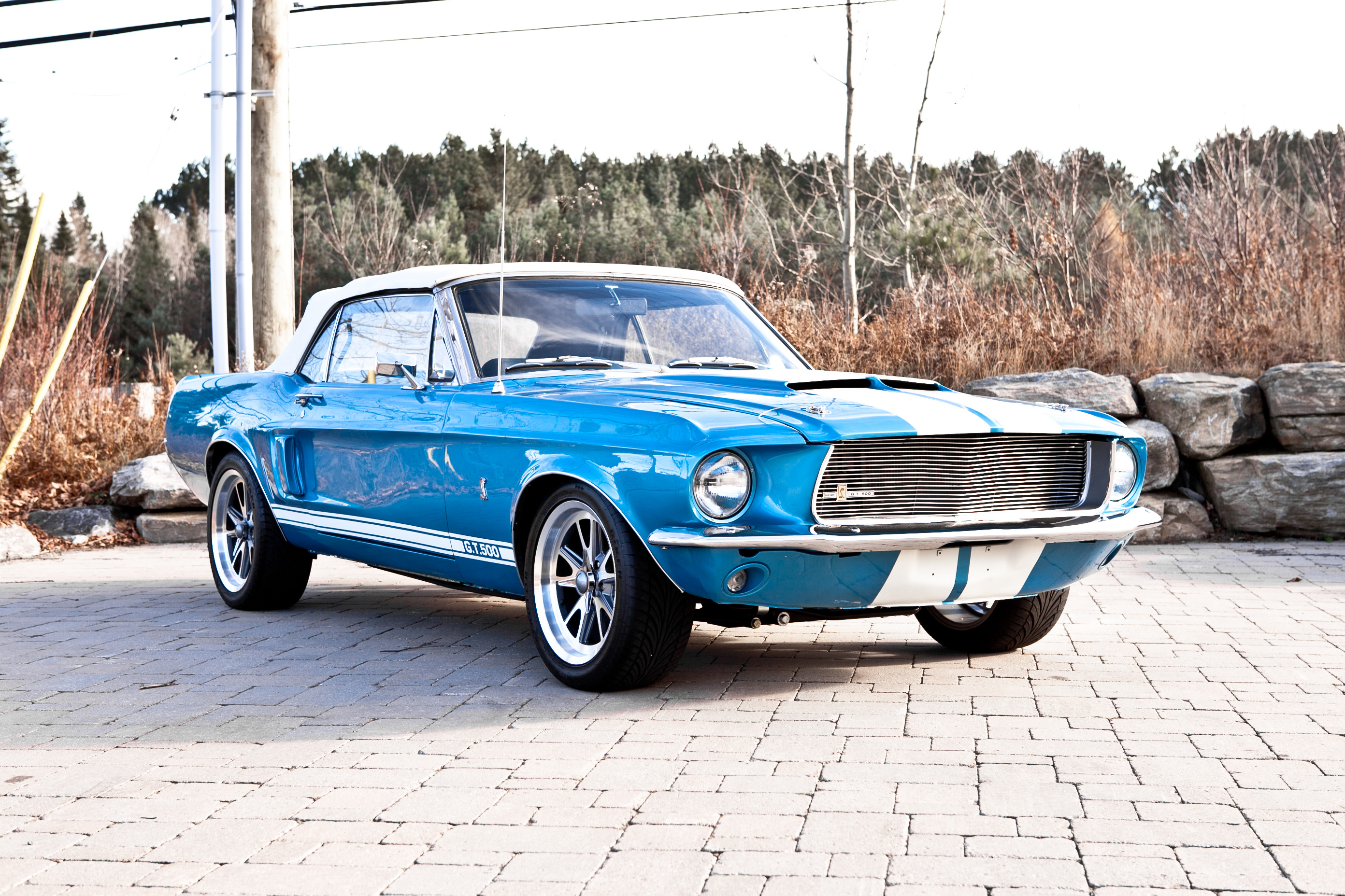 Blue Car Car Coupe Muscle Car Shelby Gt500 2784x1856