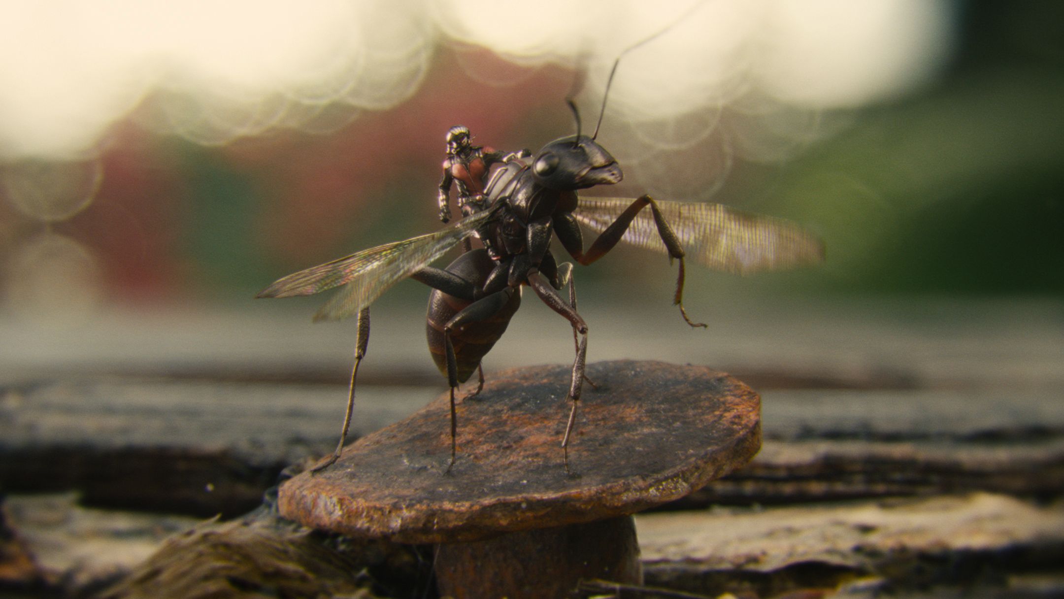 Movie Ant Man 2160x1216