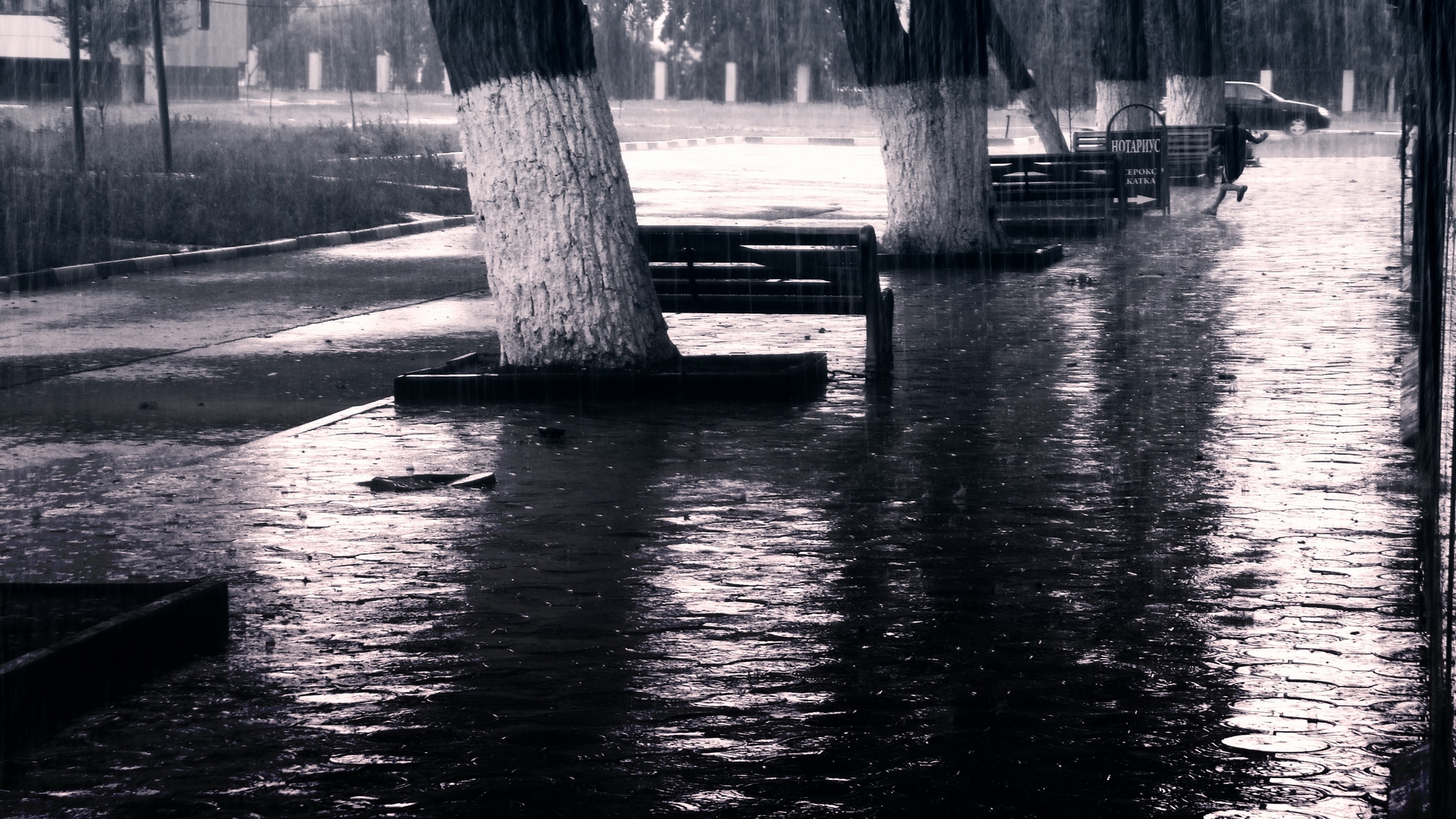 Photography Rain 1920x1080