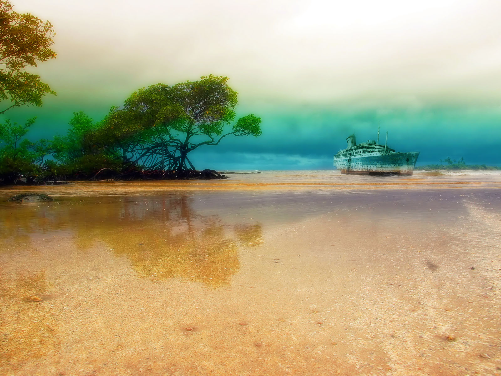 Beach Mangrove Reflection Shipwreck Tropical 1600x1200