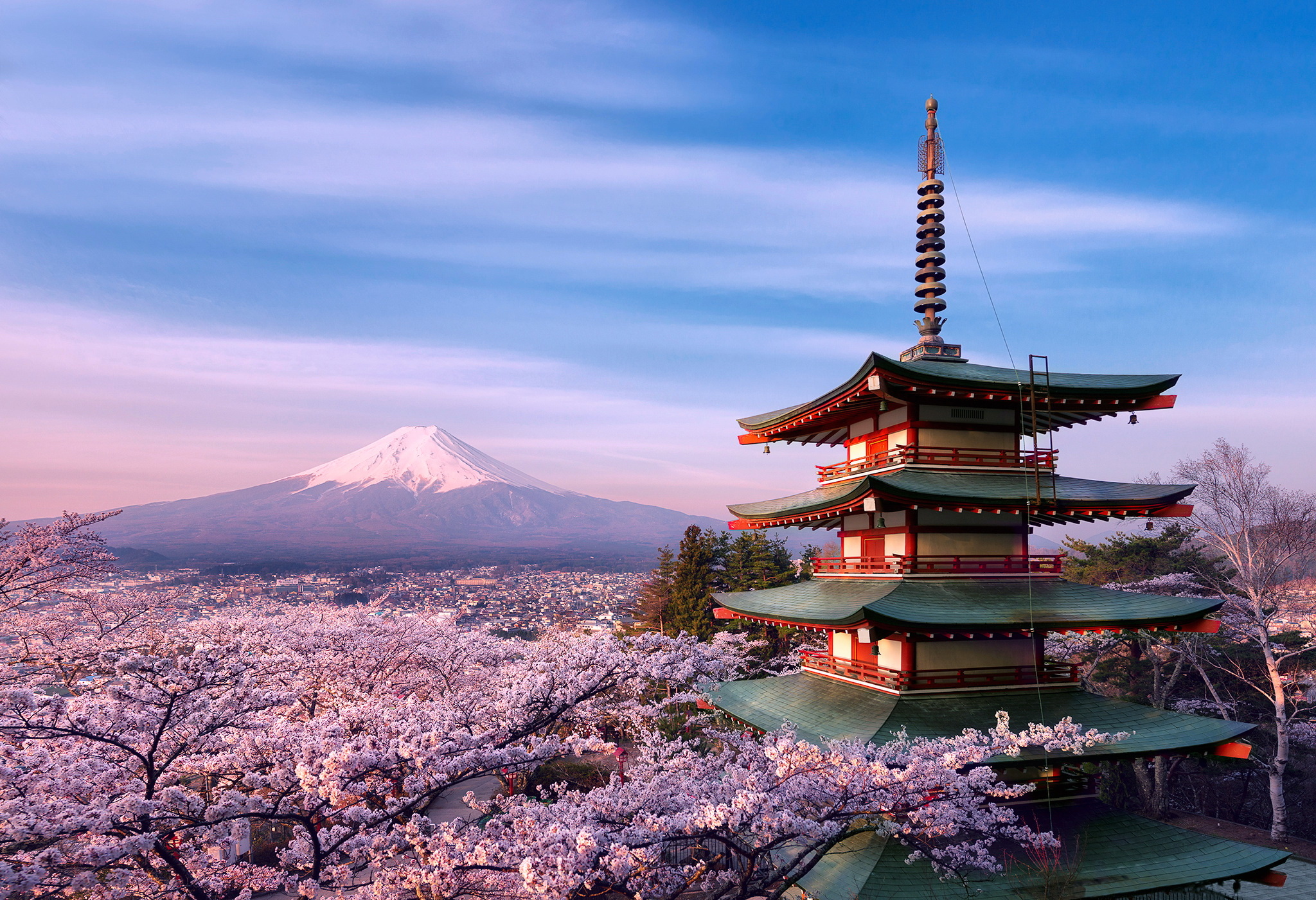 Flower Japan Light Mount Fuji Pagoda Pink Sakura 2048x1401
