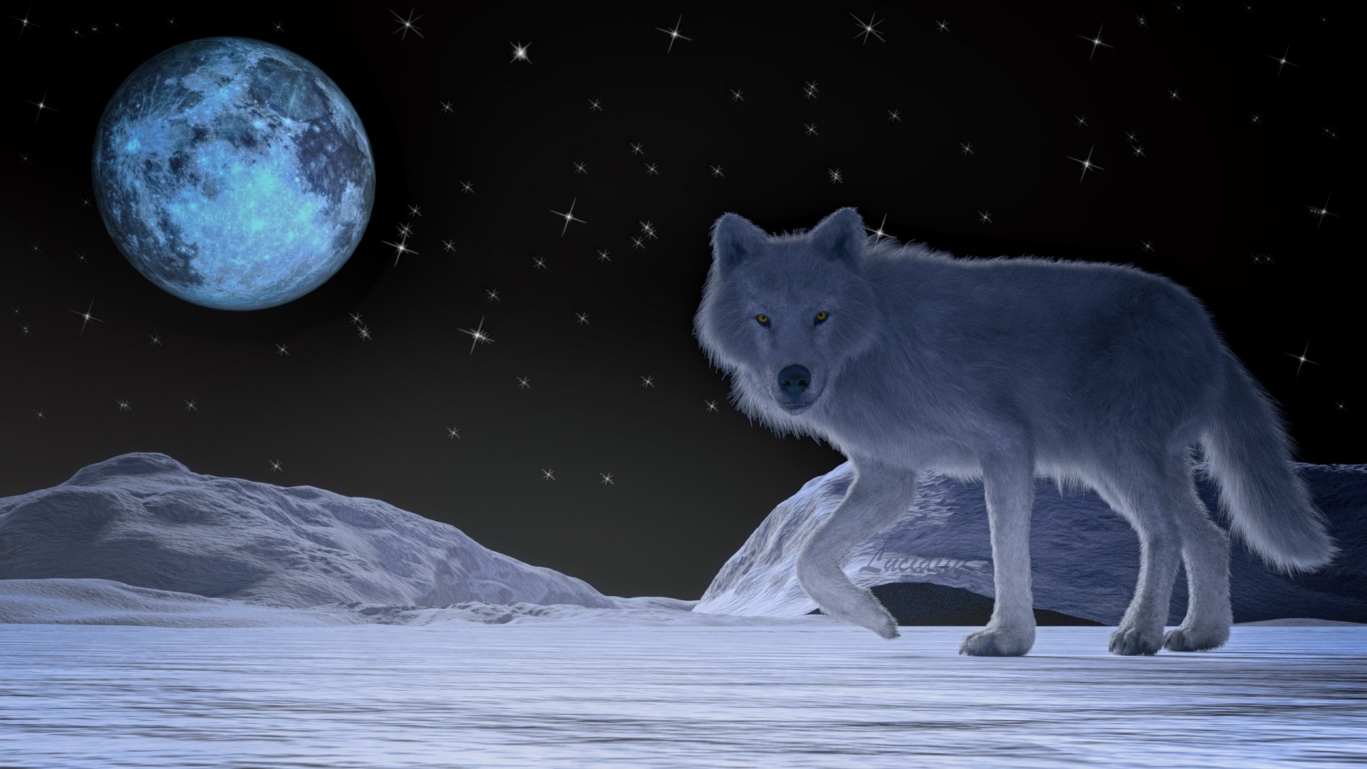 Animal Full Moon White Wolf Winter Wolf 1920x1080