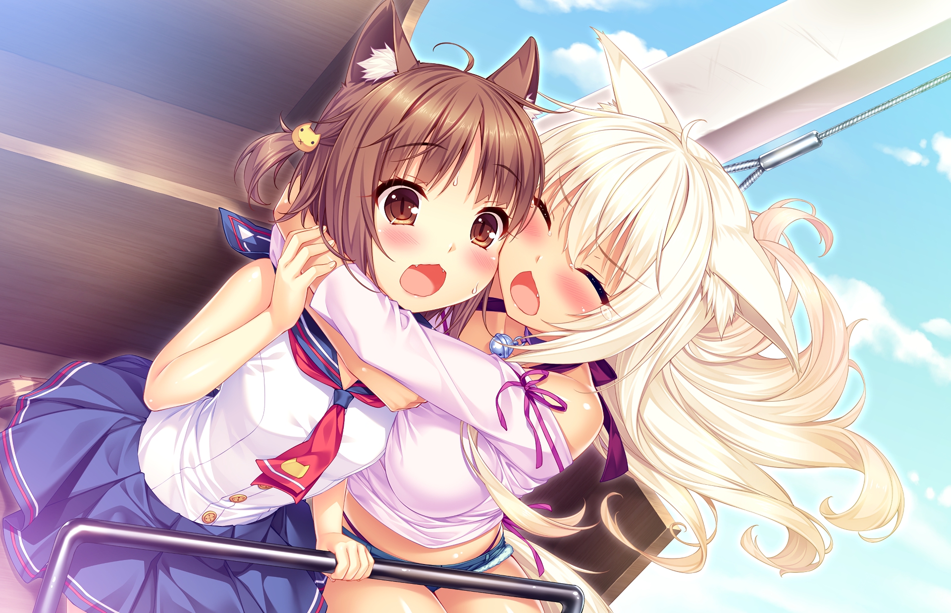 Azuki Nekopara Coconut Nekopara 1920x1239