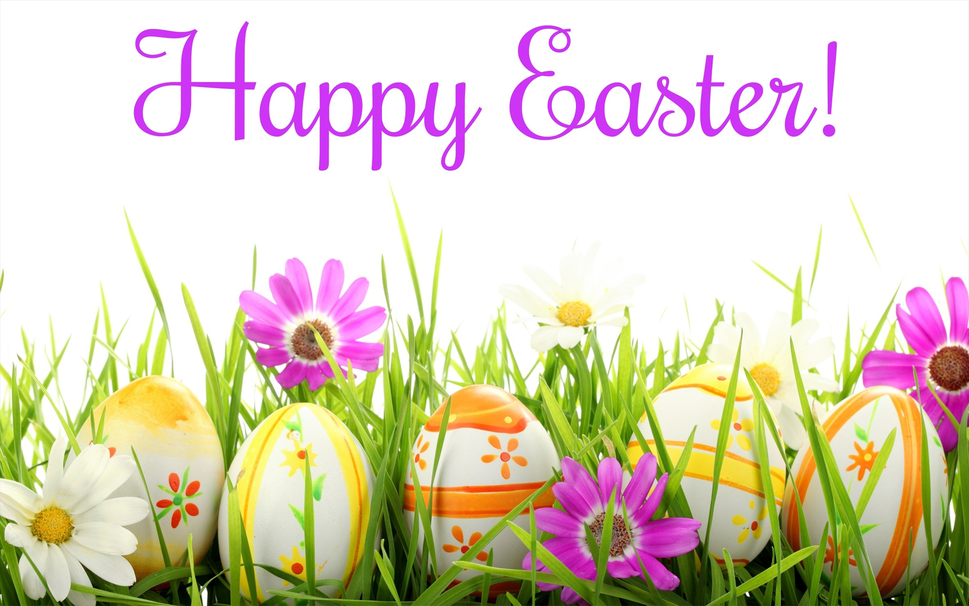 Close Up Colorful Colors Easter Easter Egg Egg Flower Grass Happy Easter Holiday 1920x1200