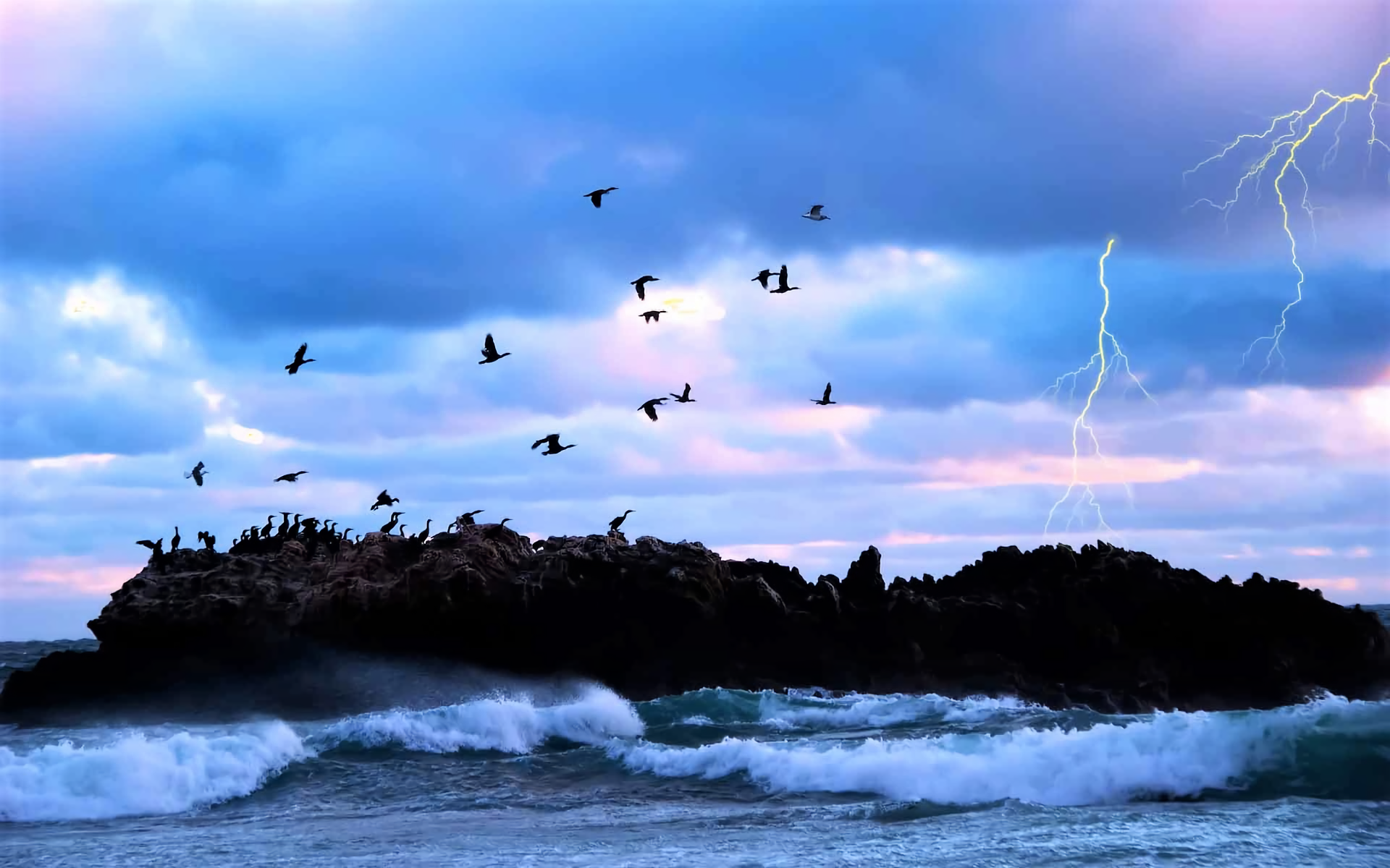 Beach Bird Earth Lightning Ocean Rock Sea Sky Sunset 1920x1200