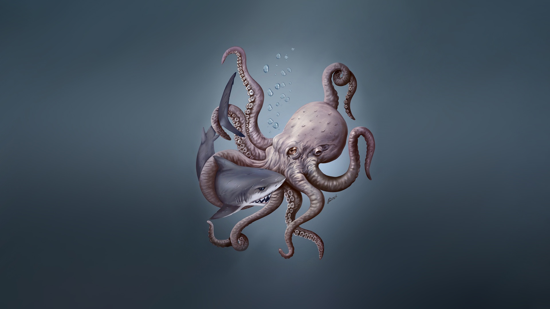 Octopus 1920x1080