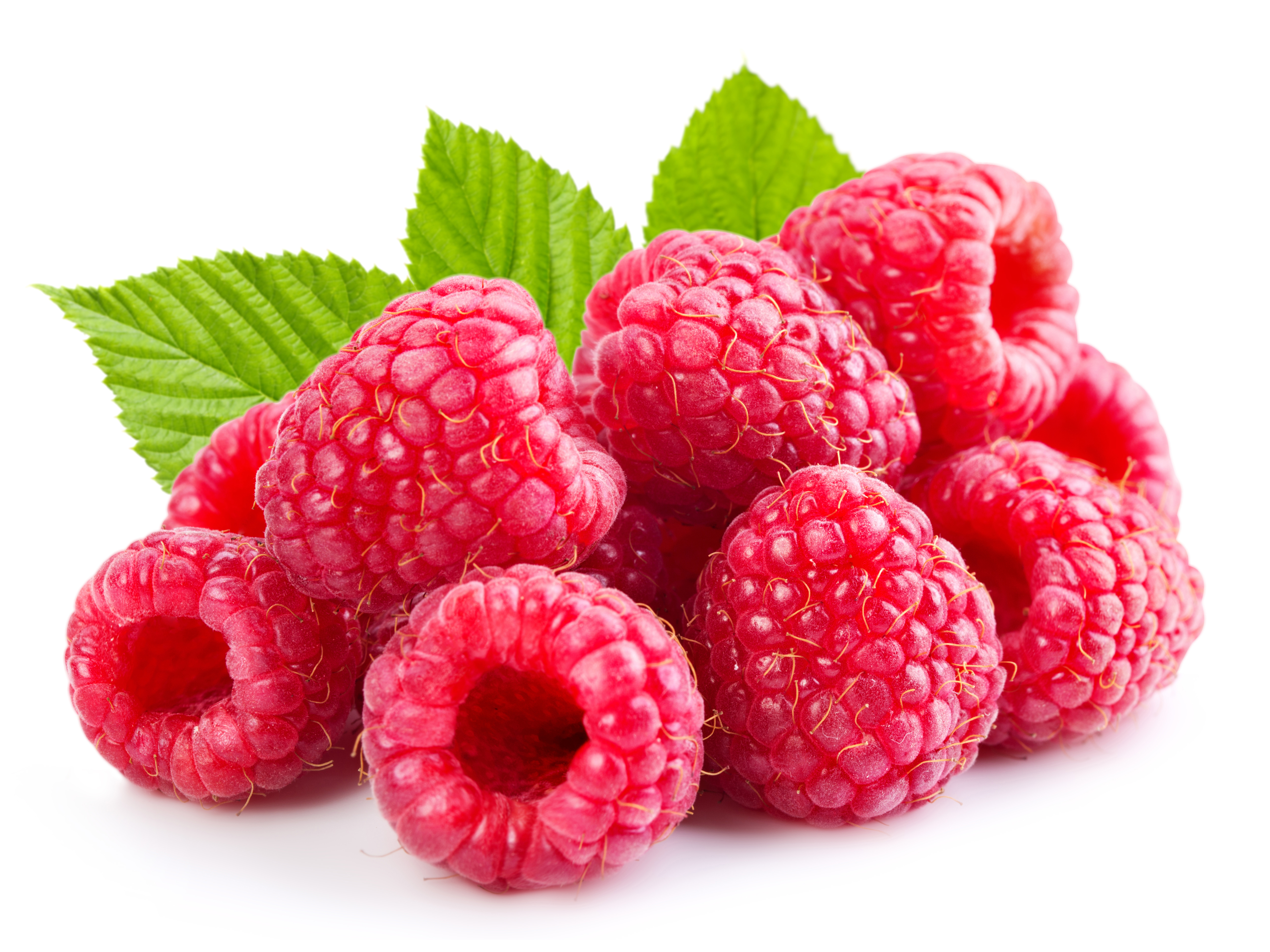 Berry Fruit Raspberry 5000x3750