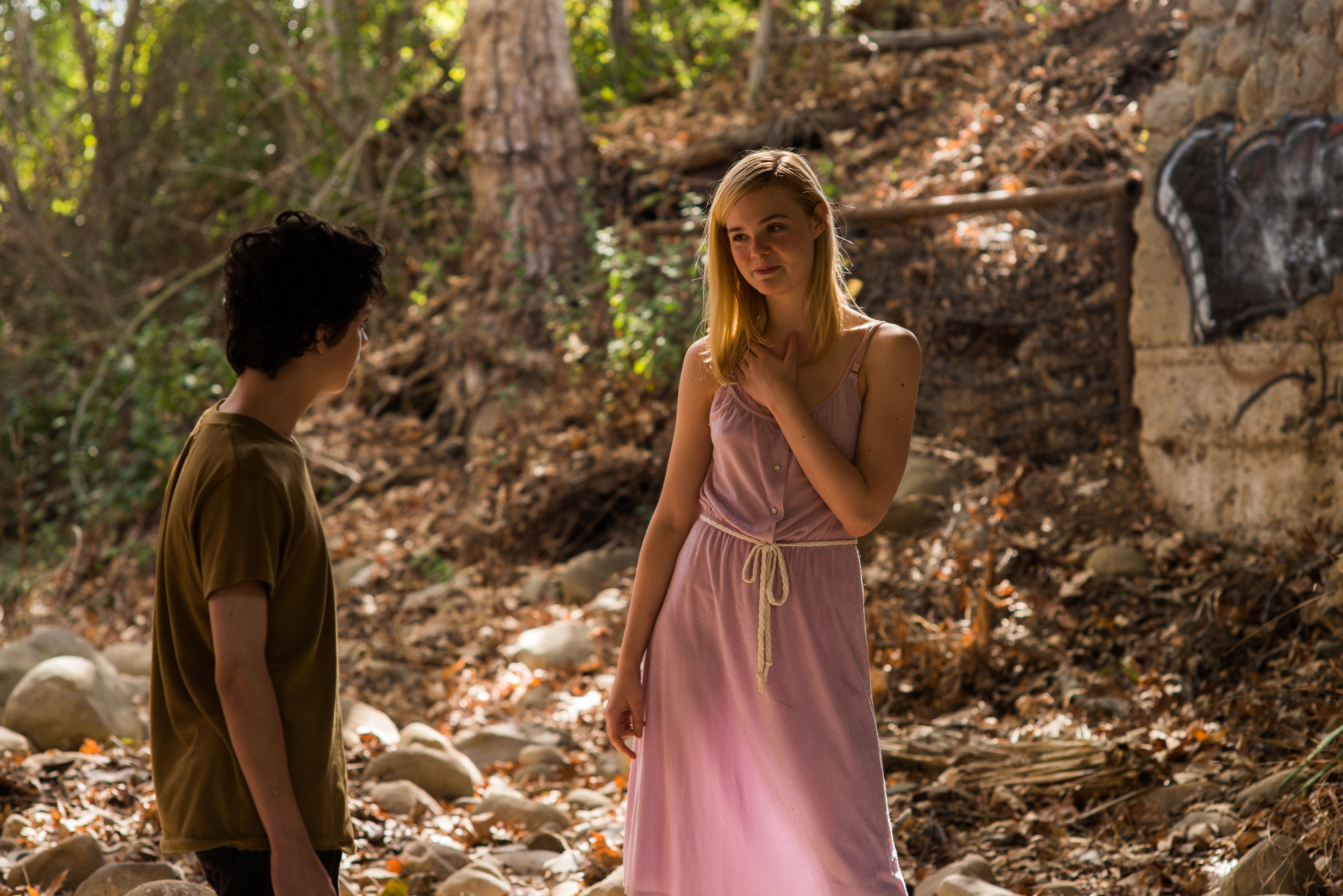 Elle Fanning Lucas Jade Zumann 3680x2456