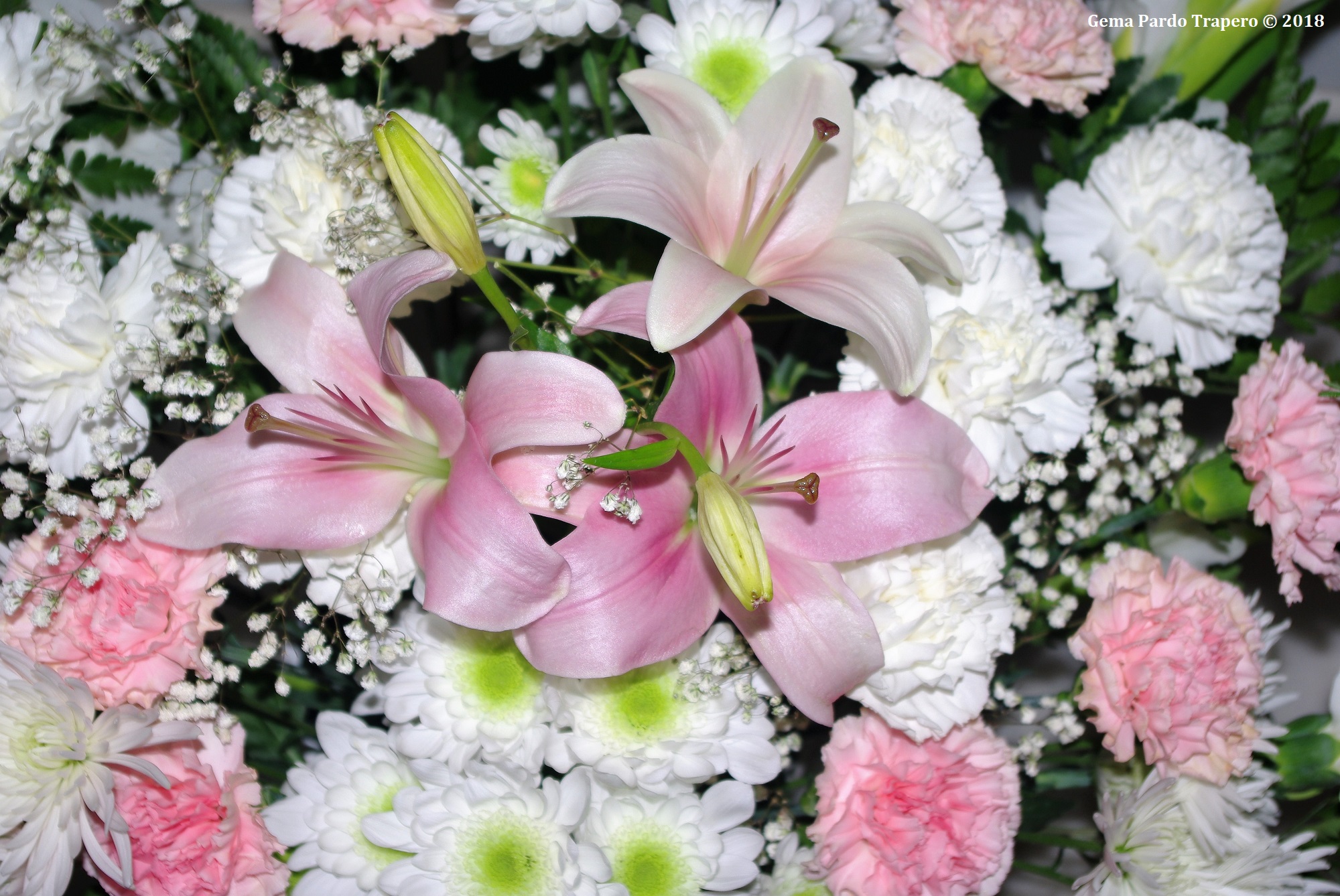 Bouquet Carnation Flower 2000x1338