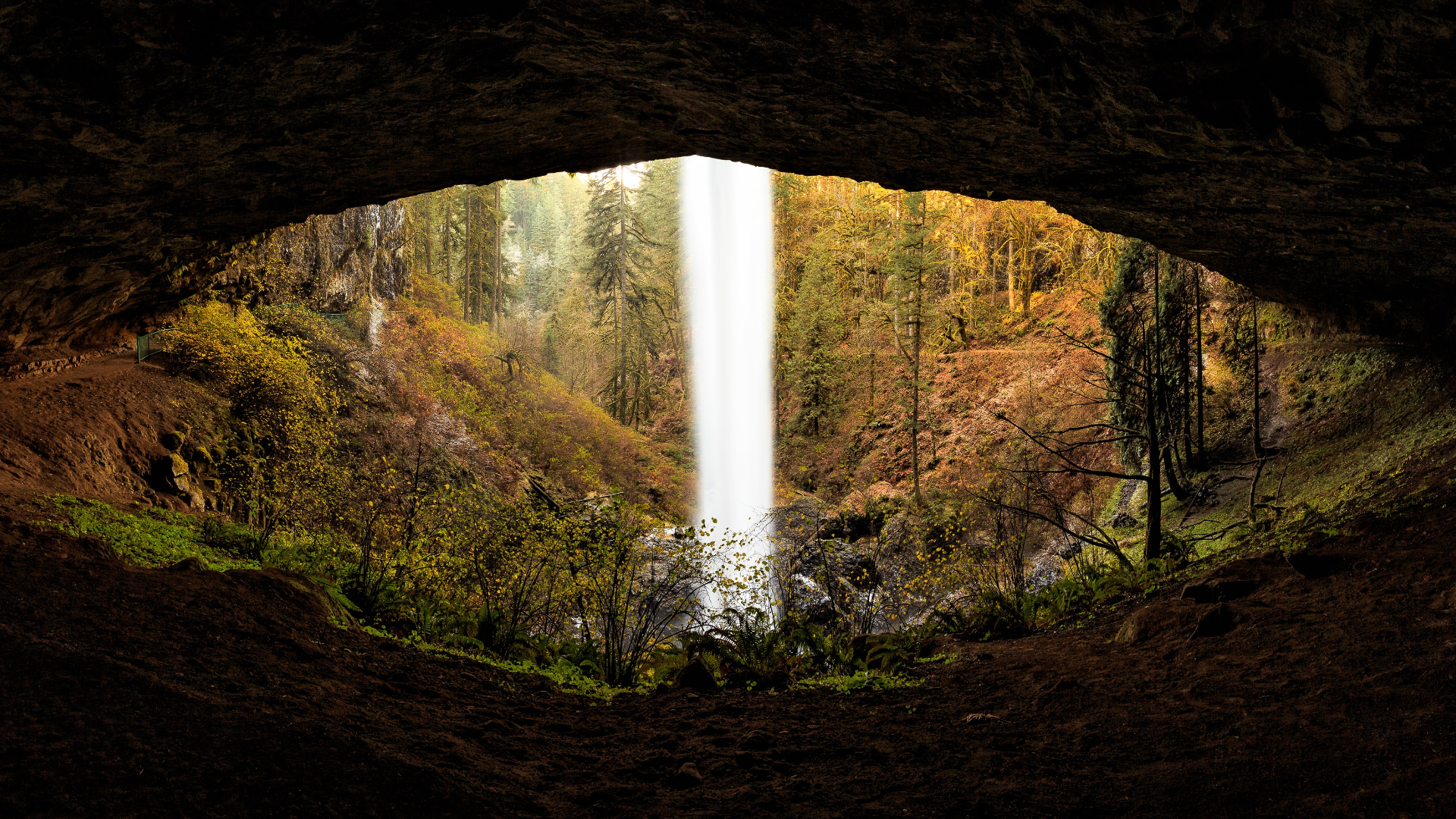 Nature Landscape Trees Plants Grass Cave Rocks Water Waterfall Fall Oregon USA 1920x1080