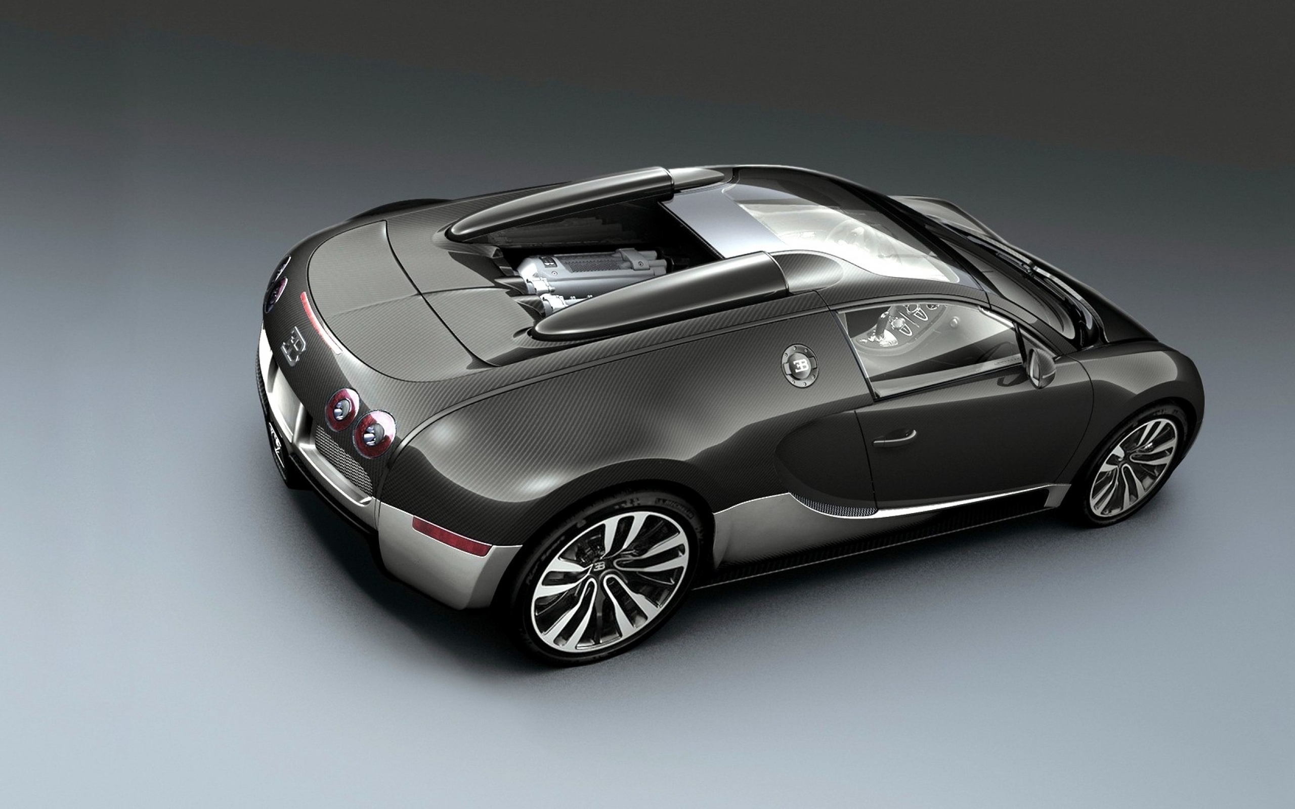 Vehicles Bugatti Veyron 2560x1600