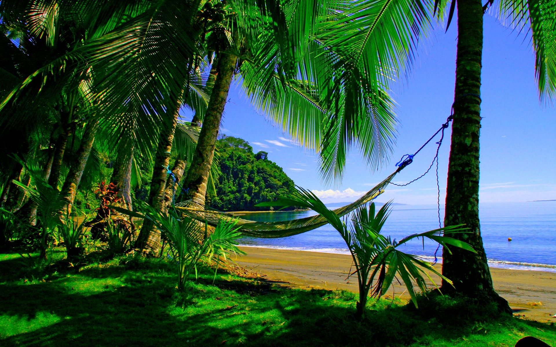 Beach Green Hammock Nature Ocean Palm Tree Tree Tropical 1920x1200