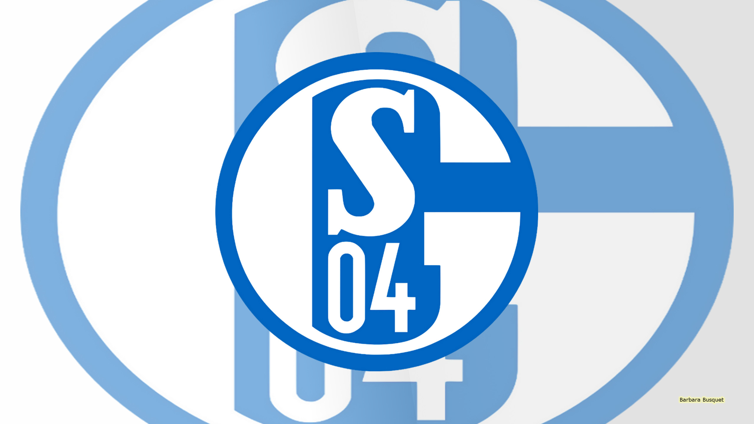 Fc Schalke 04 Logo Soccer 2560x1440