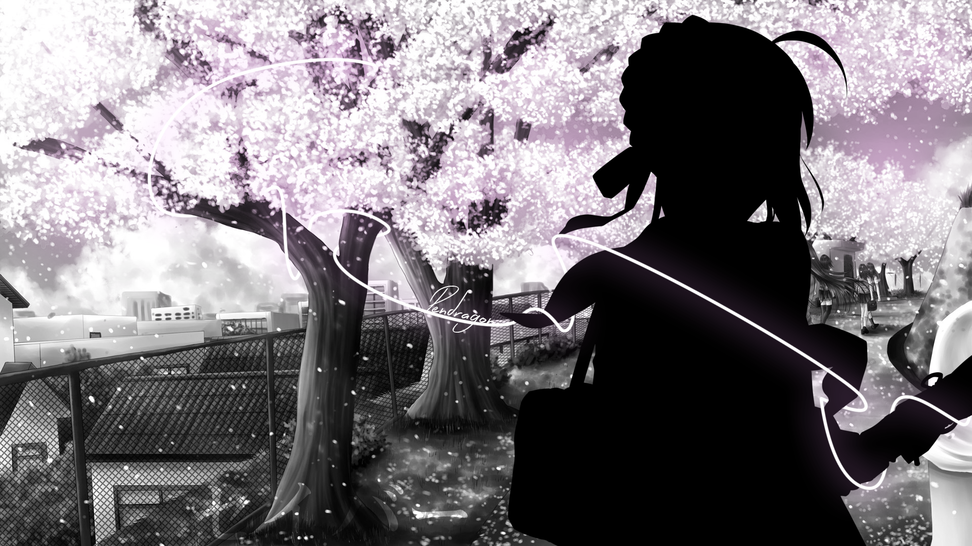 Anime Blossom Fate Zero Girl Night Saber Fate Series Sakura Tree White 1920x1080