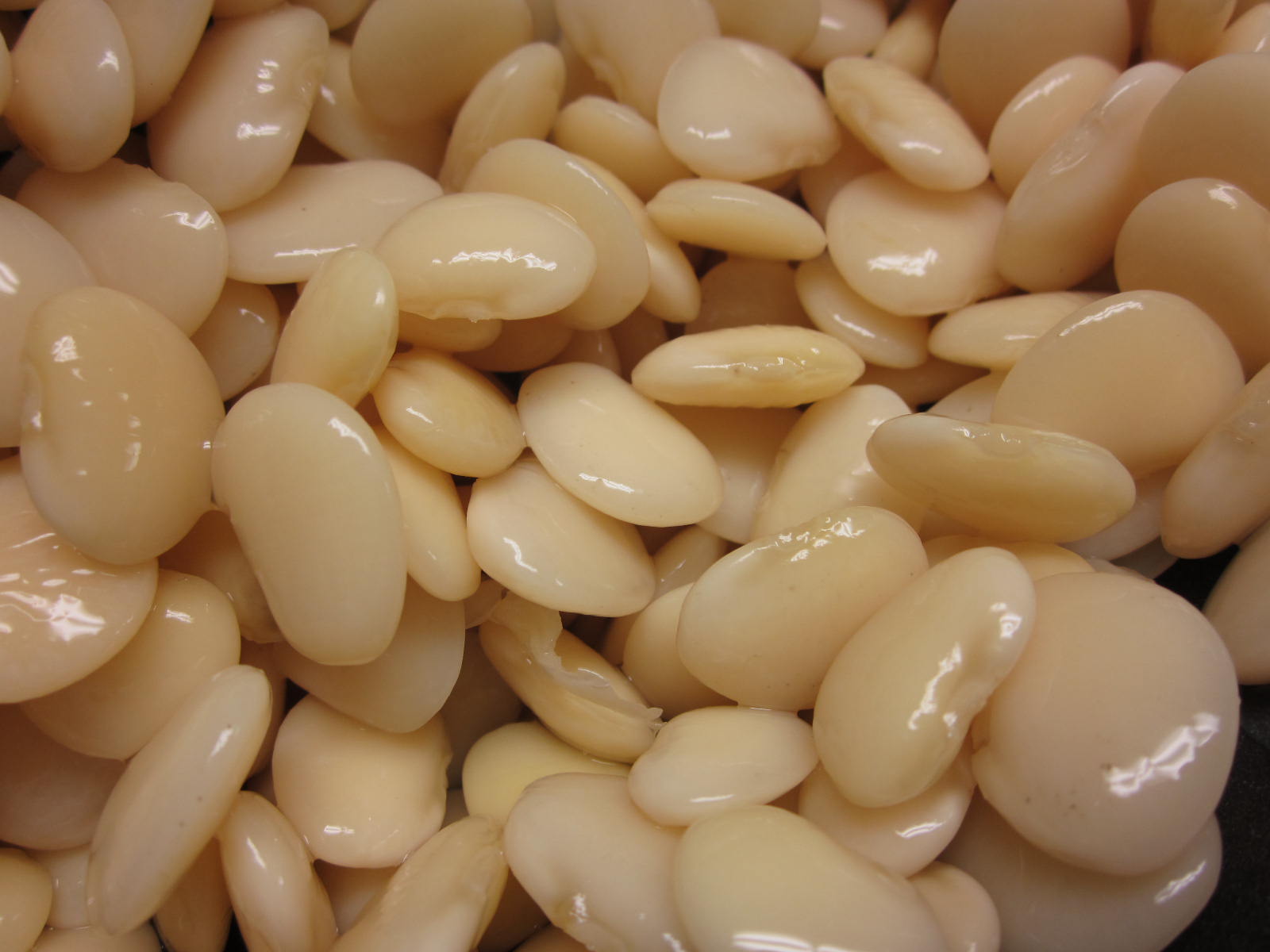 Beans 1600x1200