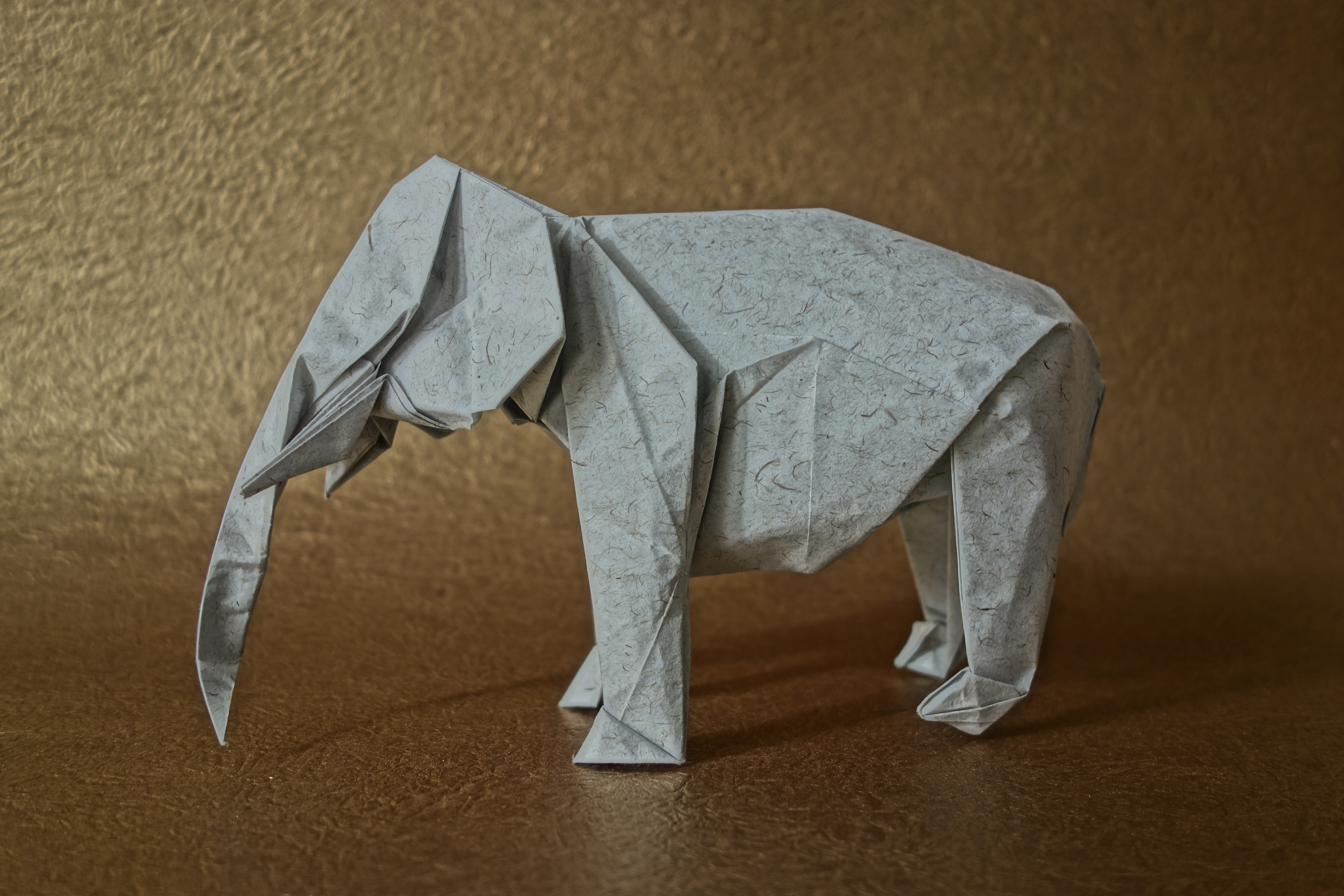 Elephant Origami 5472x3648