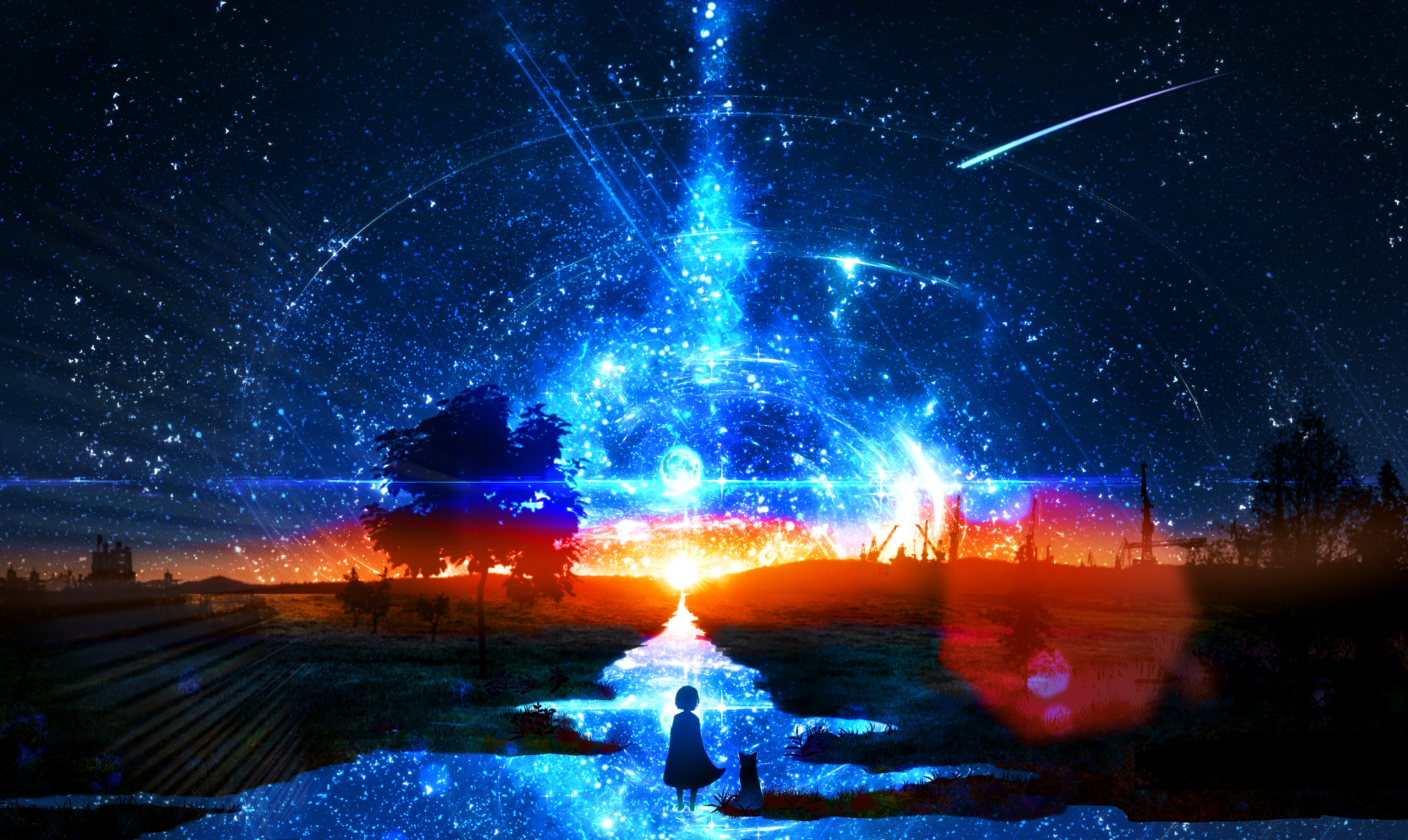 Cat Comet Light Night Shooting Star Stars Sunset Water 3072x1833