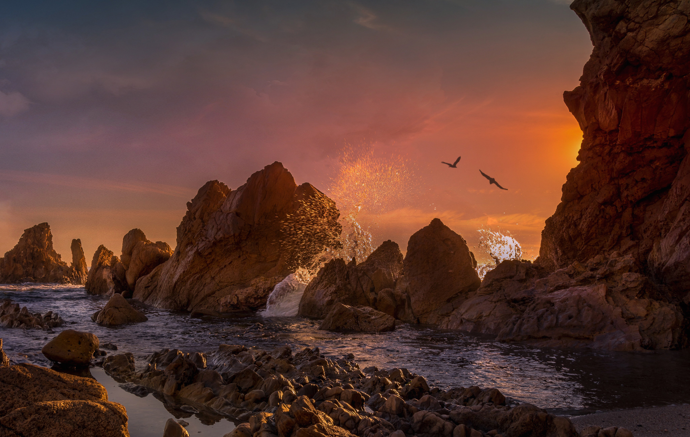 Bird Earth Ocean Rock Sunset 2700x1710