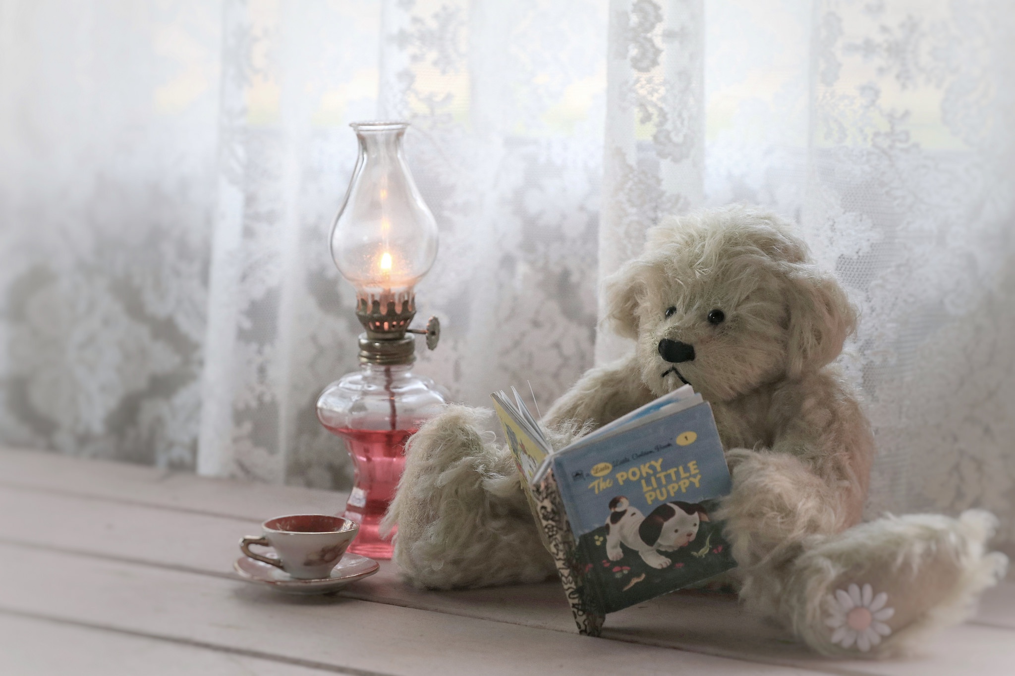 Lantern Stuffed Animal Teddy Bear 2048x1365