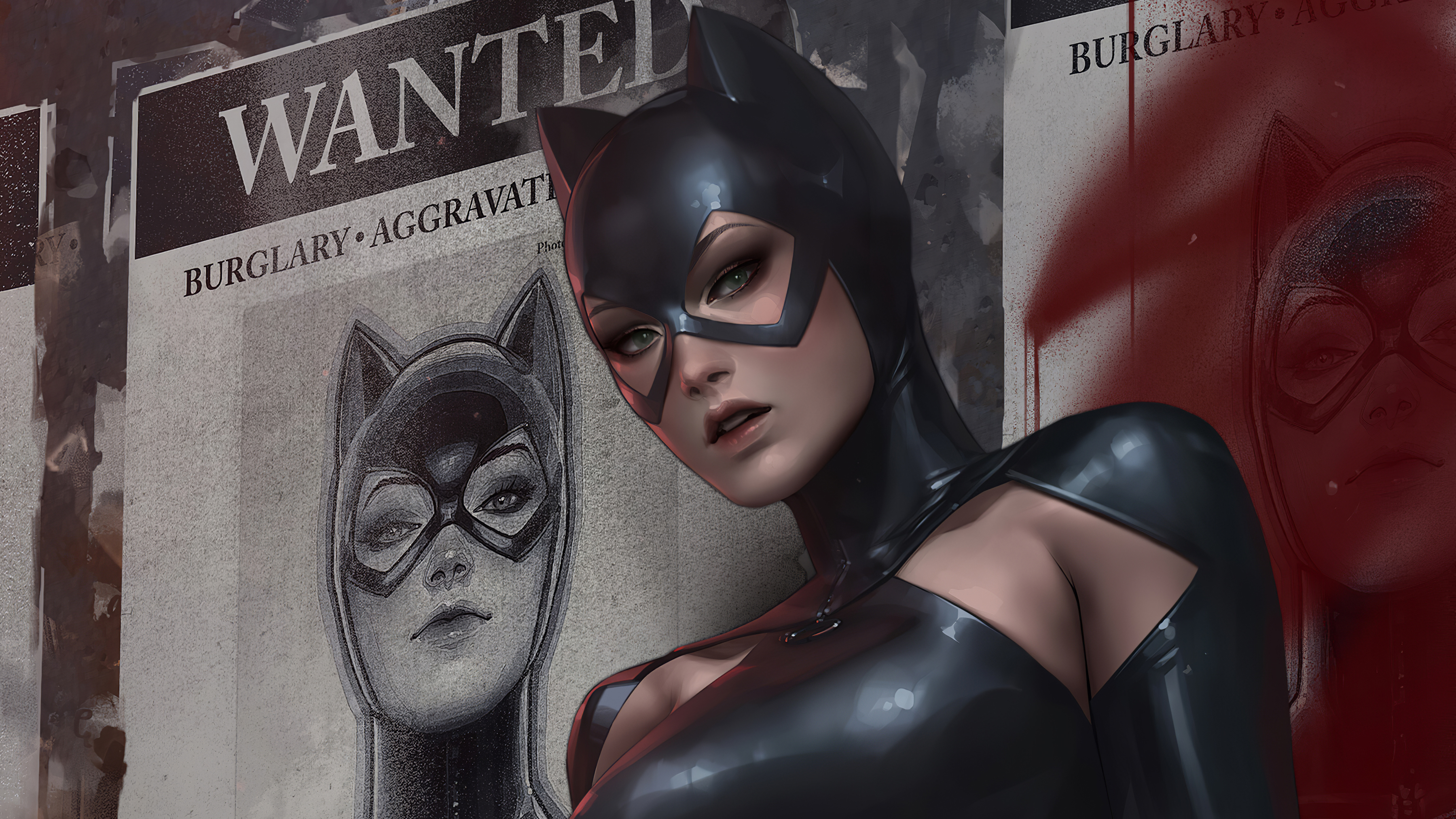 Catwoman Dc Comics 3600x2025
