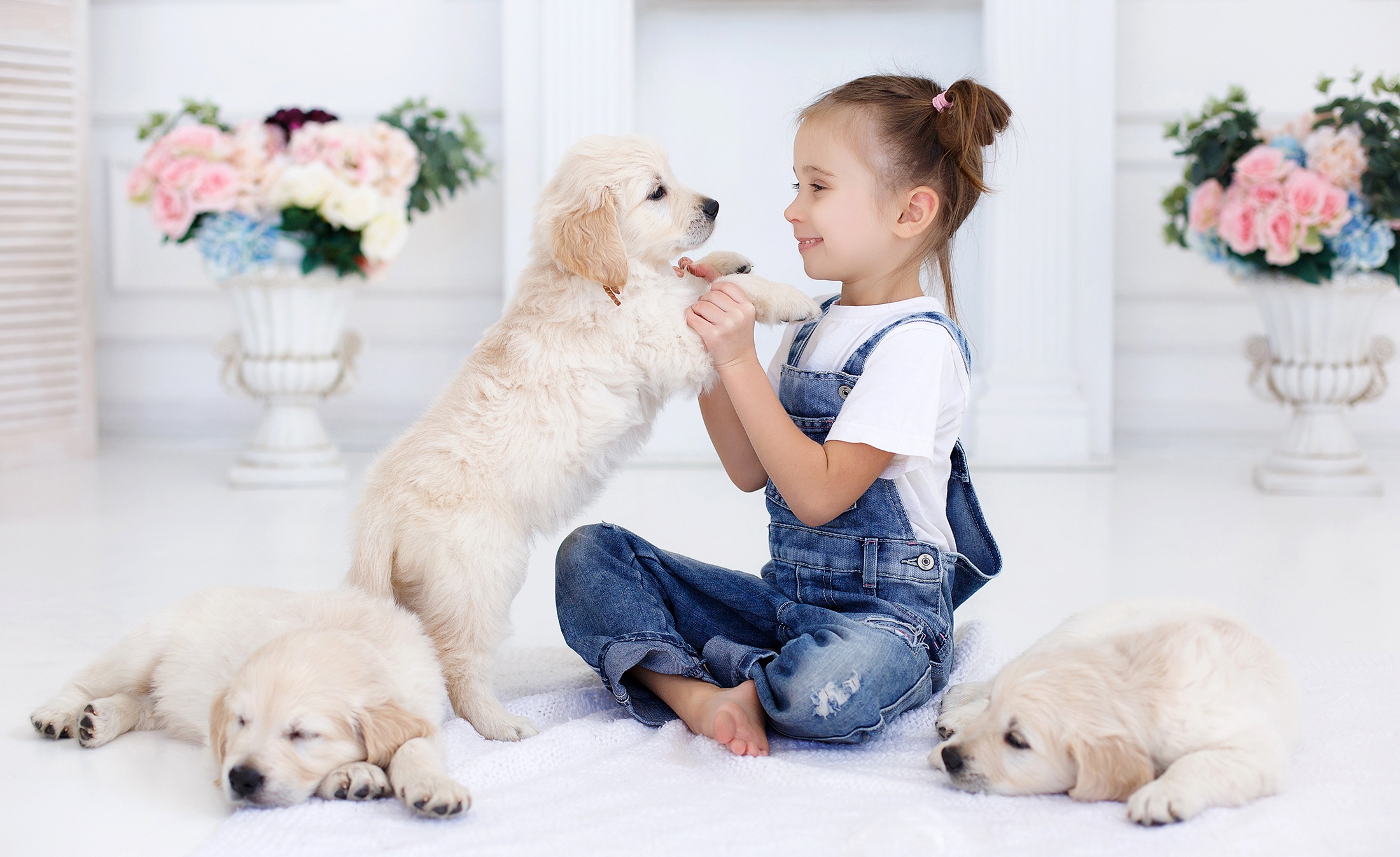 Baby Animal Dog Girl Labrador Retriever Little Girl Pet Puppy 2200x1347