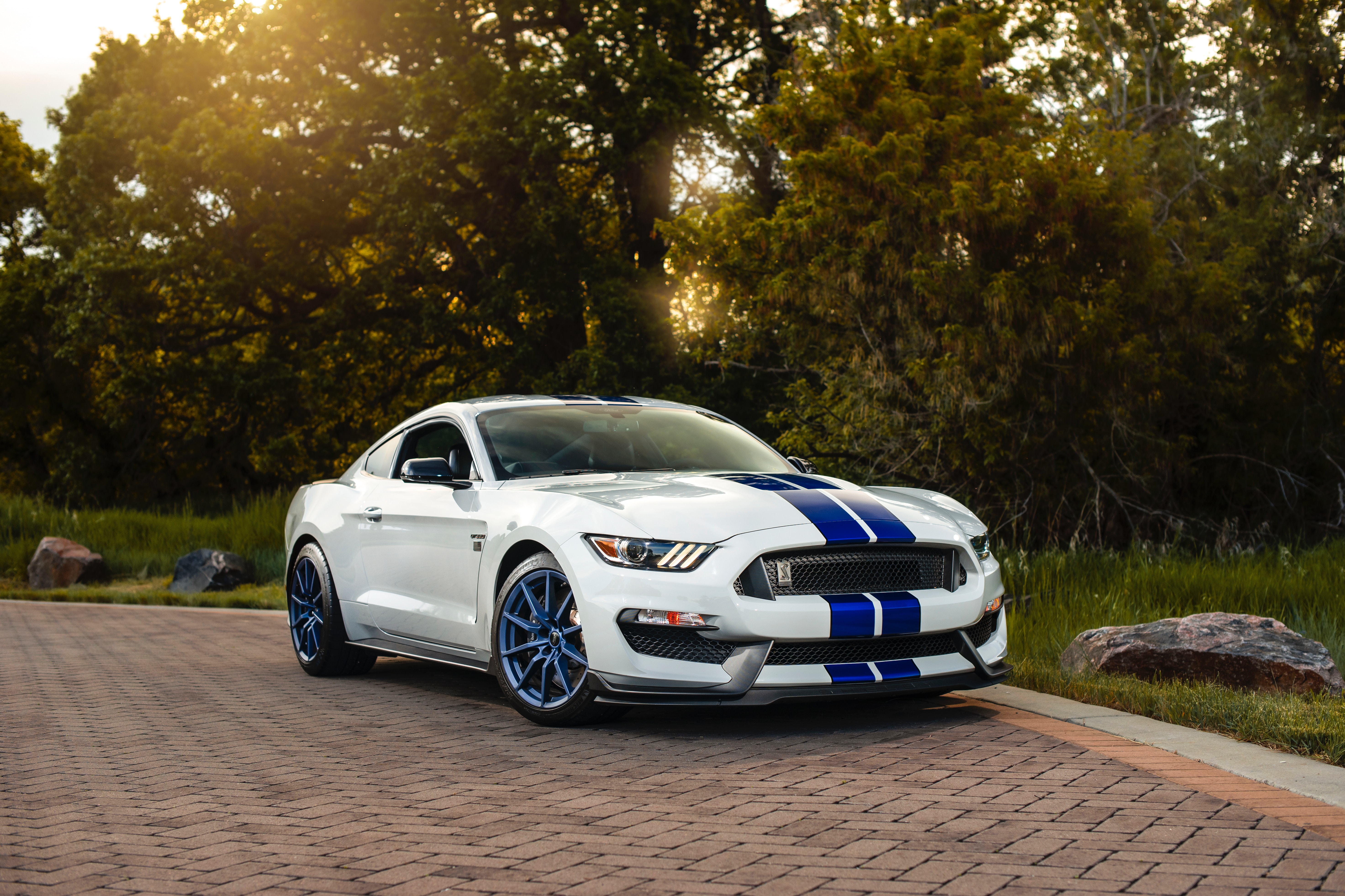 Car Ford Muscle Car Shelby Mustang Gt 350 Vehicle White Car 5890x3926