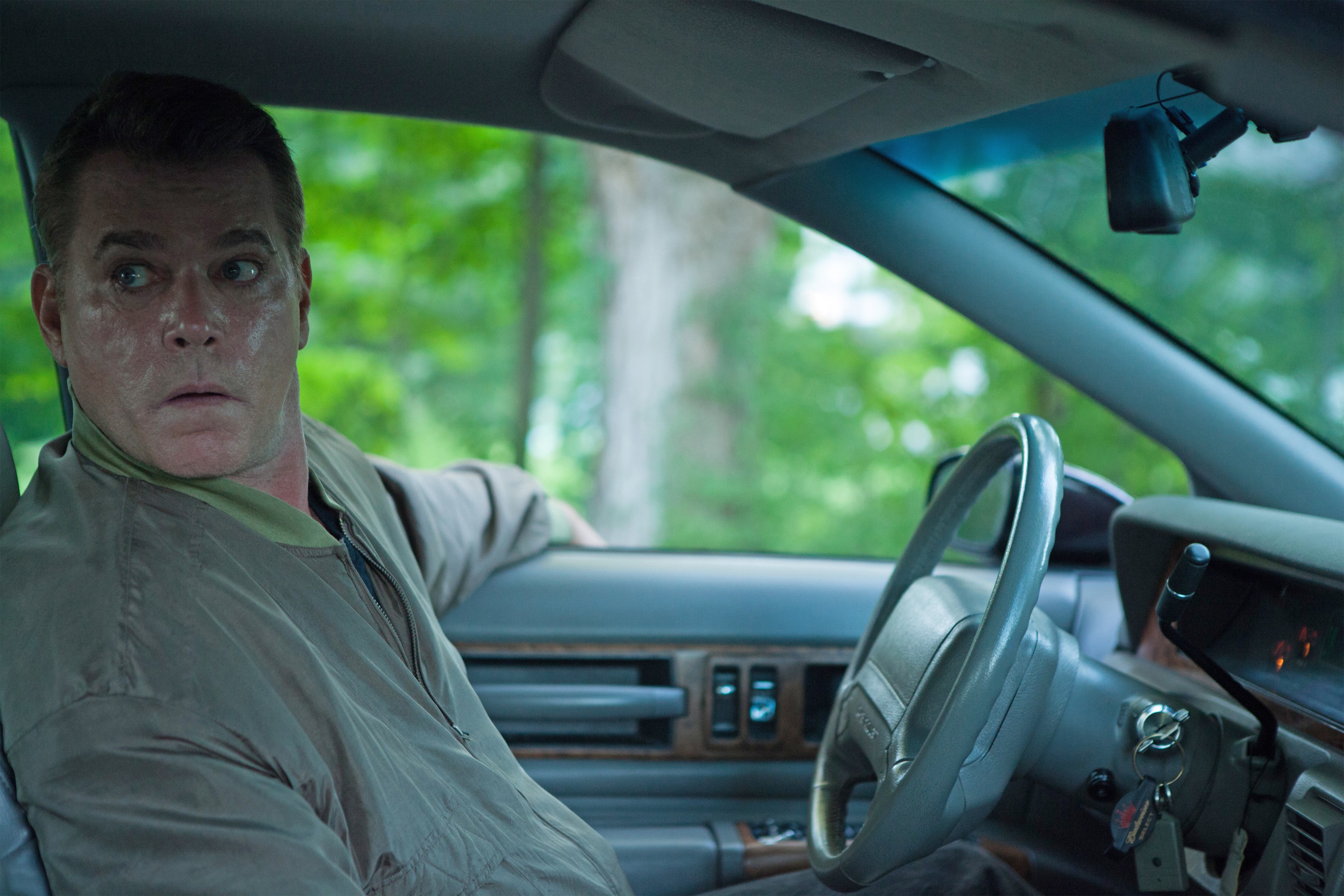 Deluca The Place Beyond The Pines Ray Liotta 3600x2400