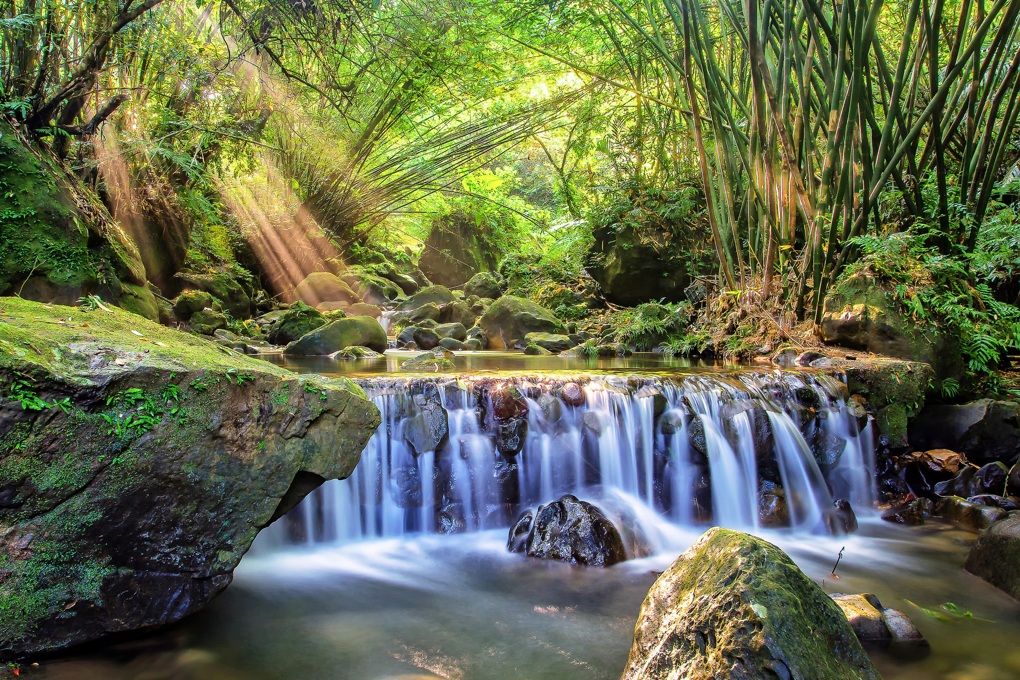 Bamboo Moss Nature Rock Stream Sunbeam Waterfall 2048x1365