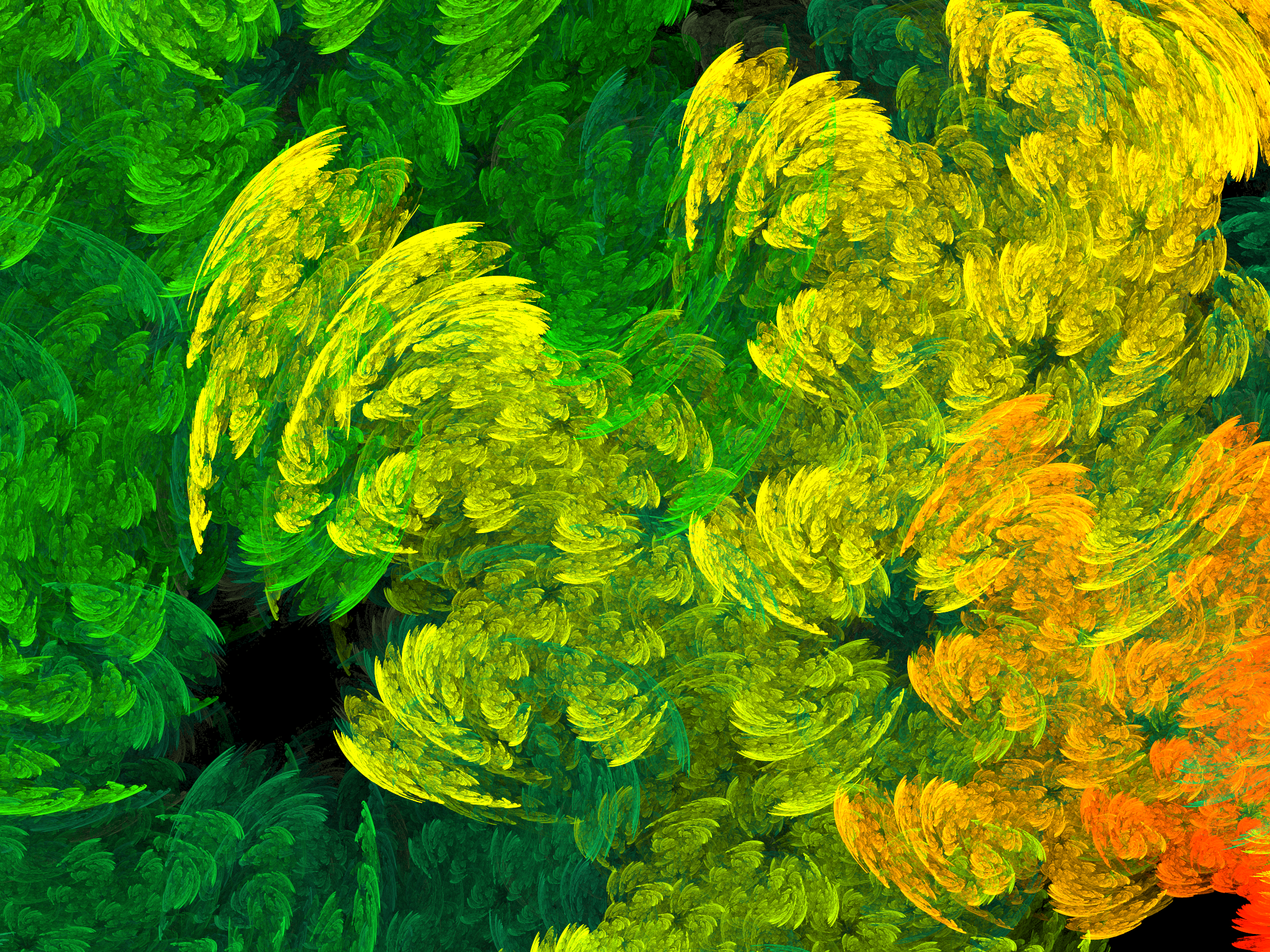 Abstract Apophysis Software Artistic Digital Art Fractal Green Shapes Yellow 2048x1536