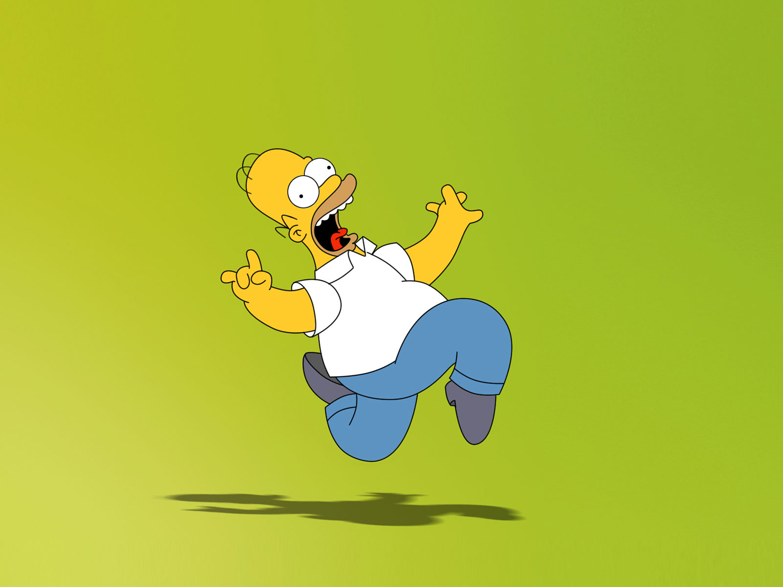 Homer Simpson The Simpsons 1600x1200