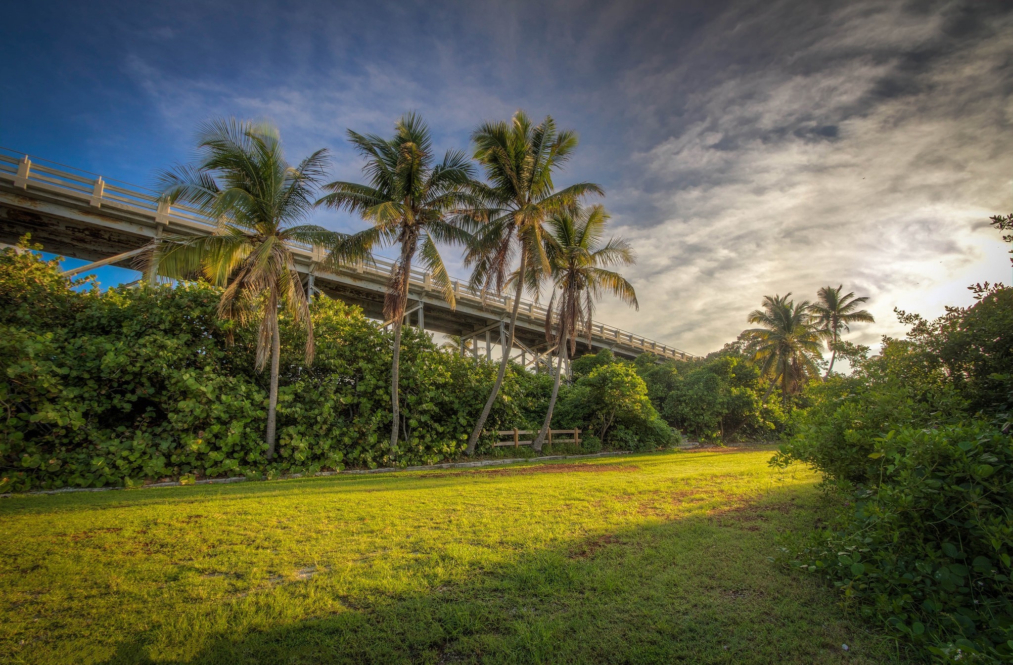 Bridge Palm Tree Tropics 2048x1345