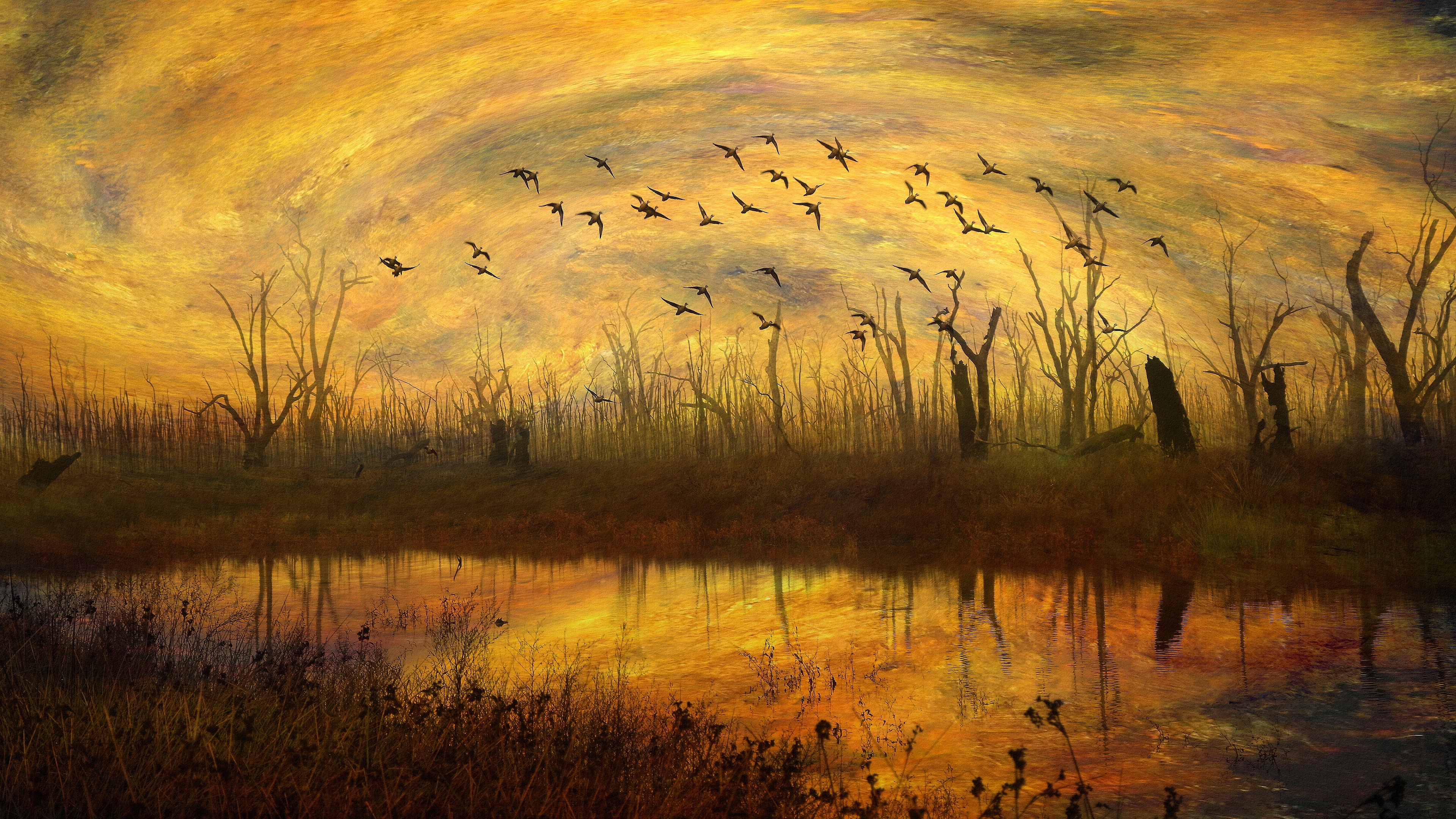 Flock Of Birds Painting 3840x2160