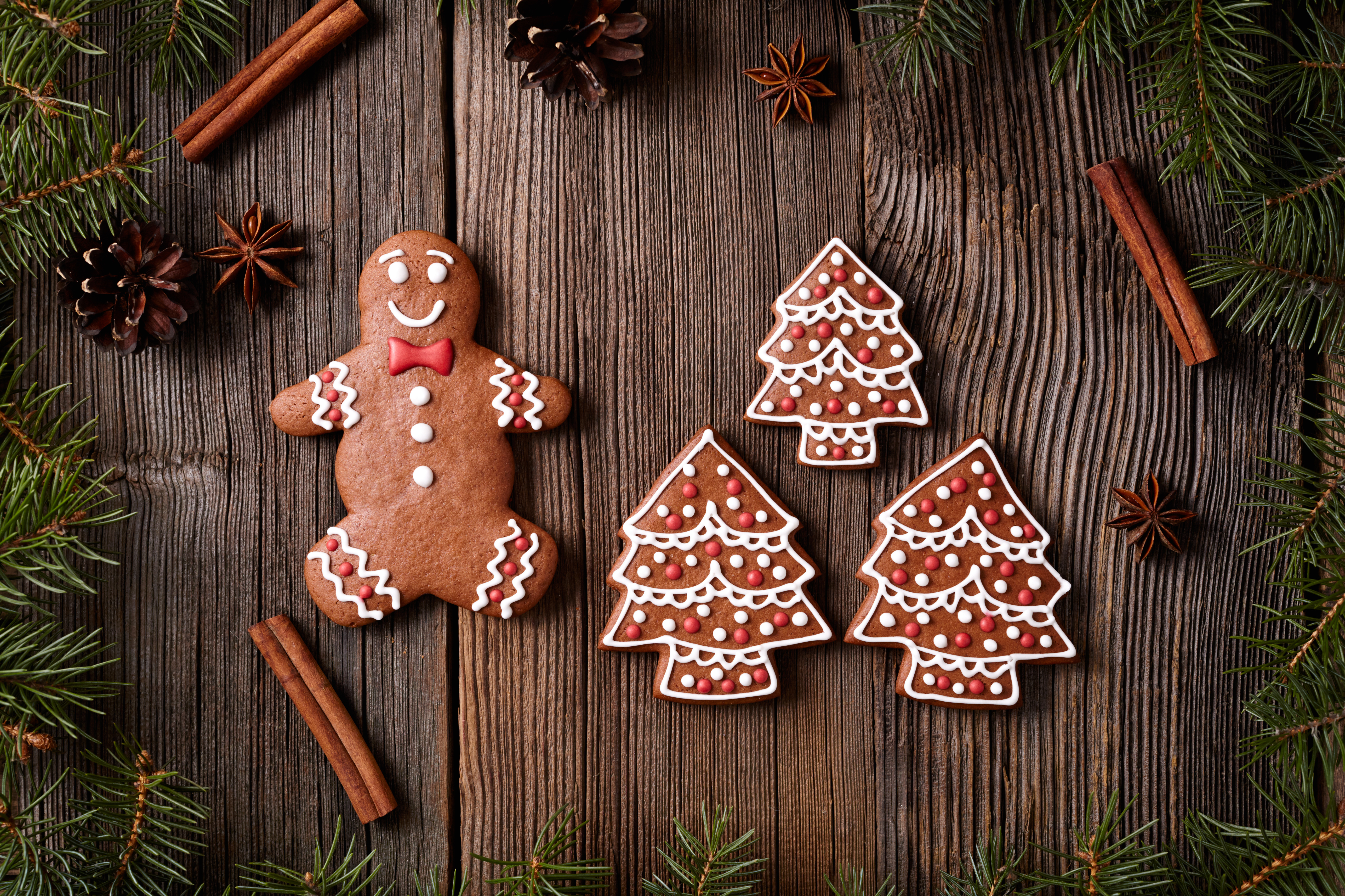 Christmas Cinnamon Cookie Gingerbread 5616x3744
