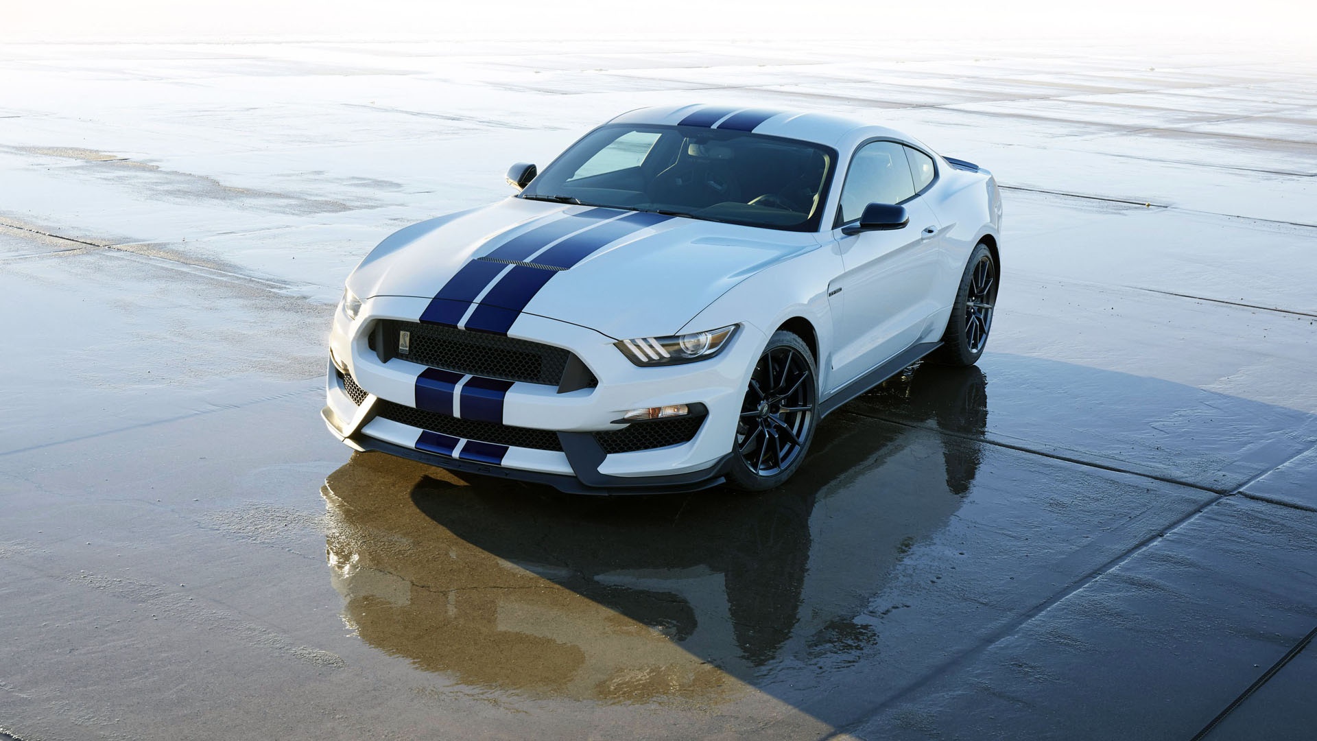Car Ford Ford Mustang Shelby Gt350 Muscle Car Vehicle White Car 1920x1080