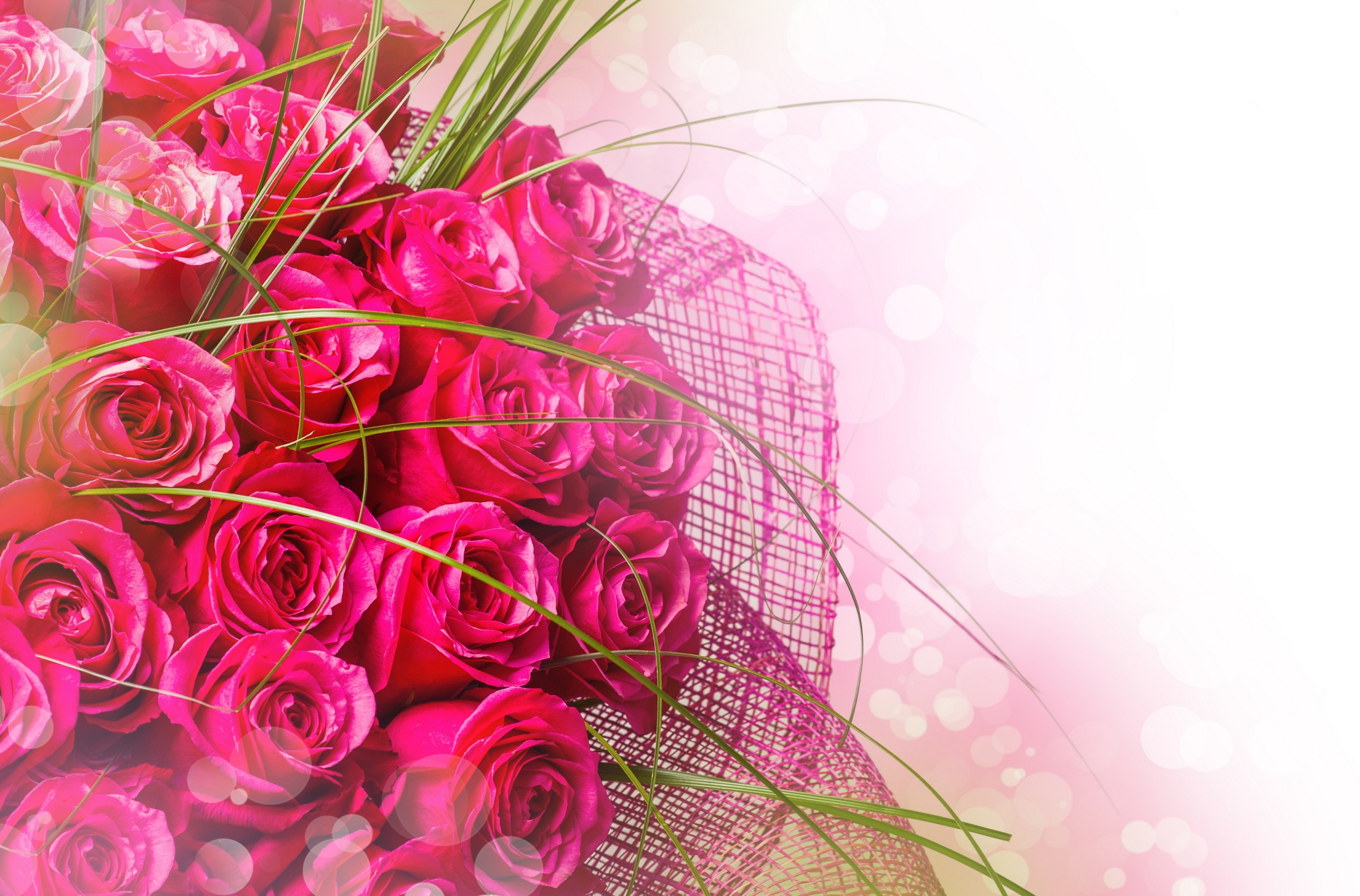 Bouquet Flower Pink Rose 4000x2636