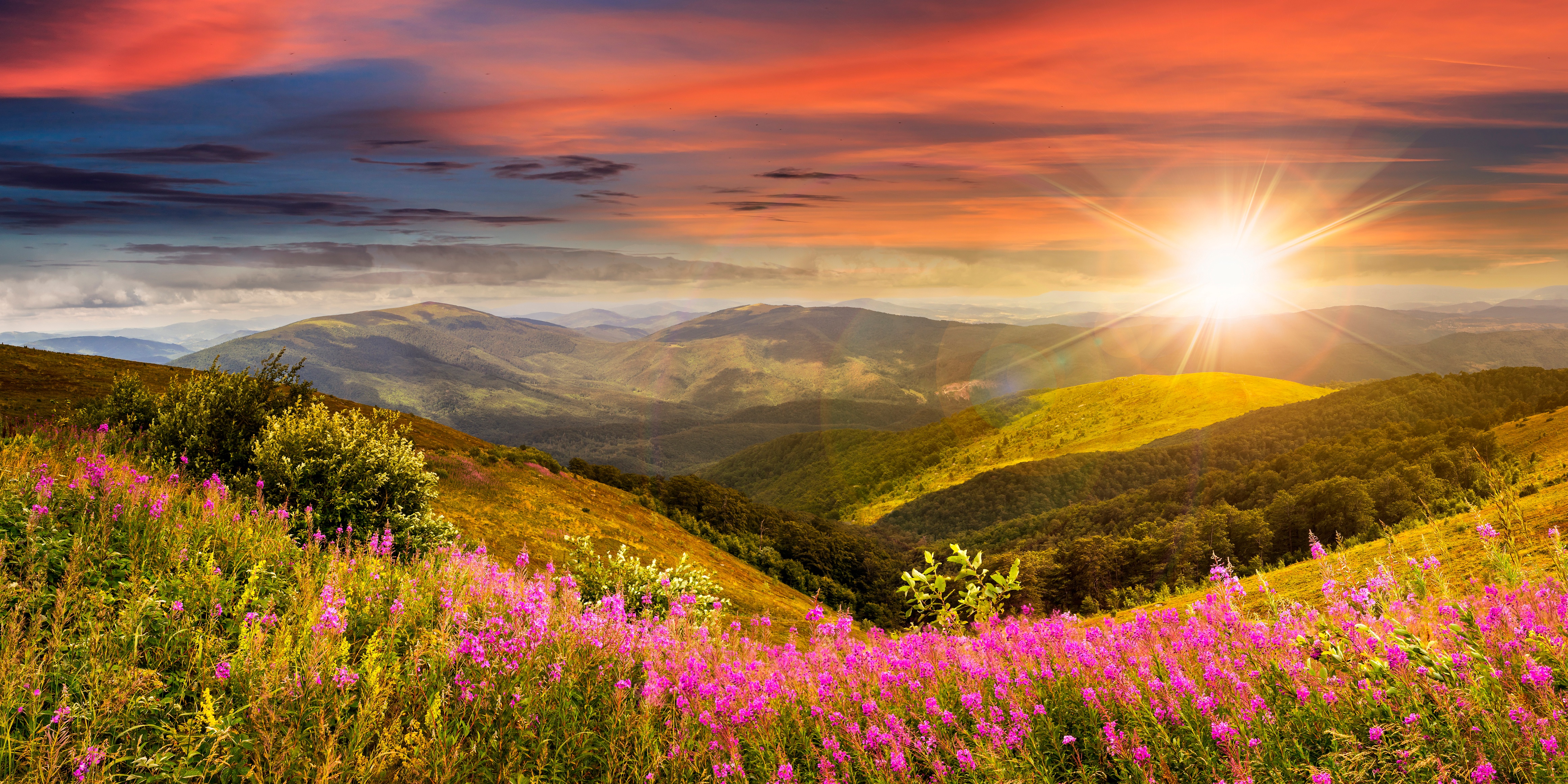 Landscape Meadow Mountain Nature Pink Flower Sky Sunrise 4646x2323