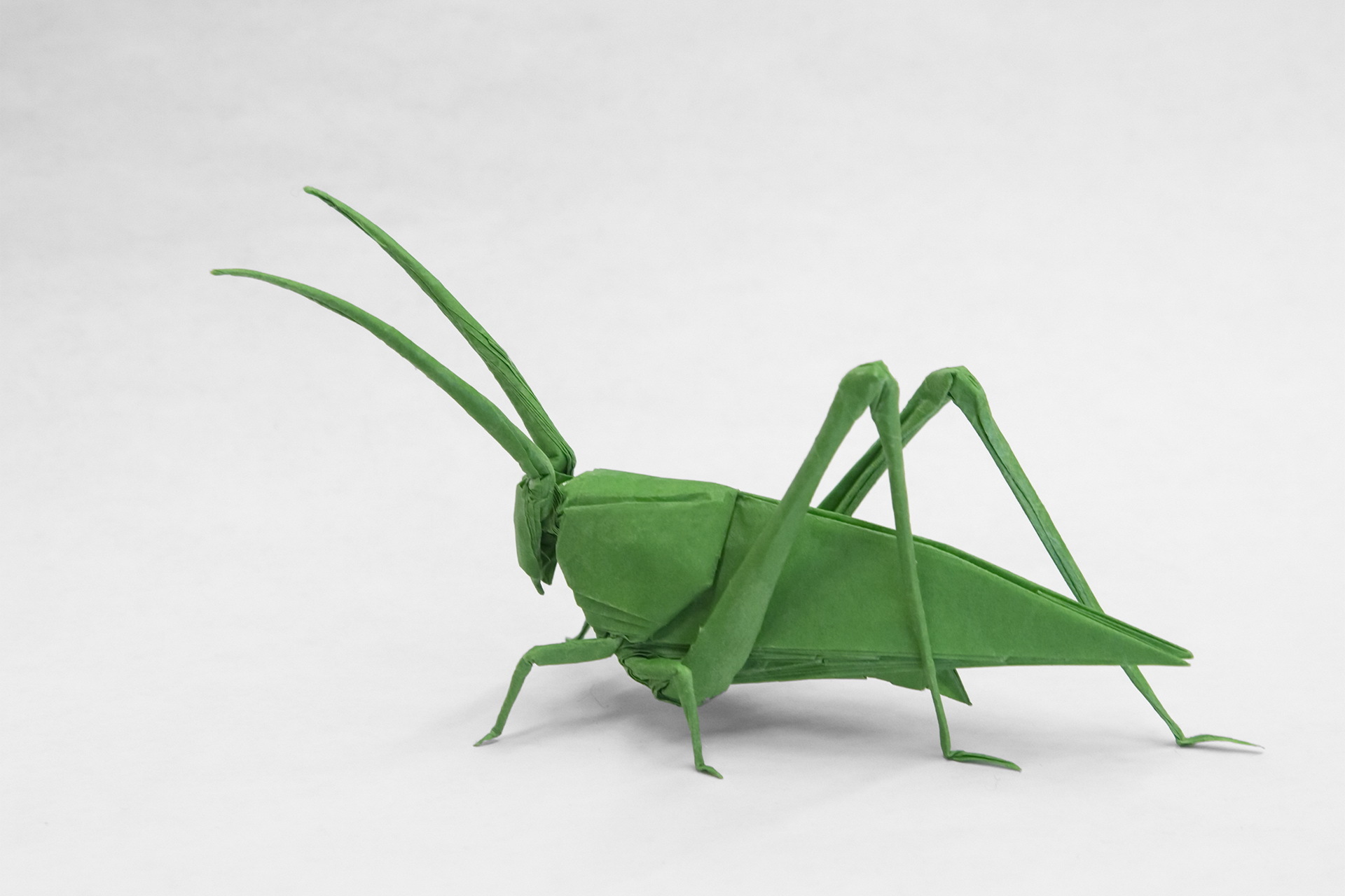 Grasshopper Origami 1920x1280
